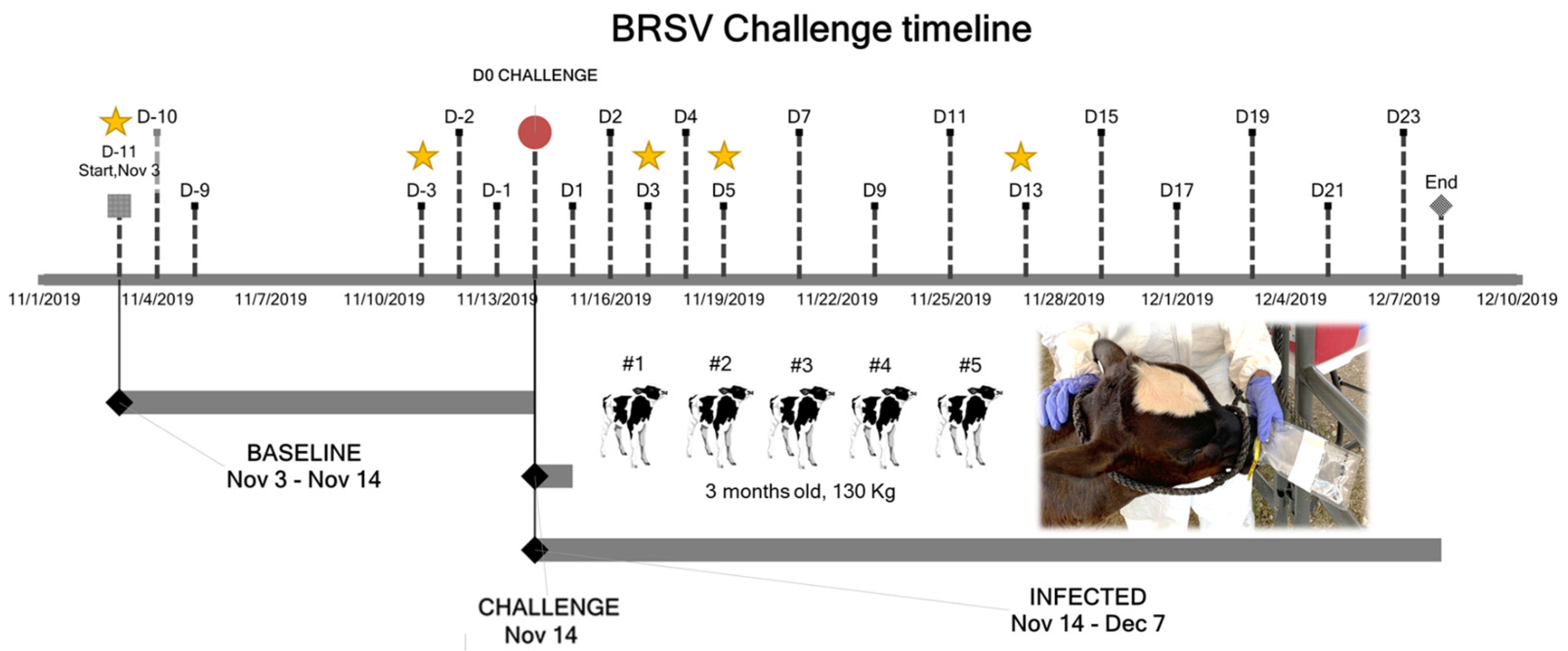 Molecules 27 00549 g001
