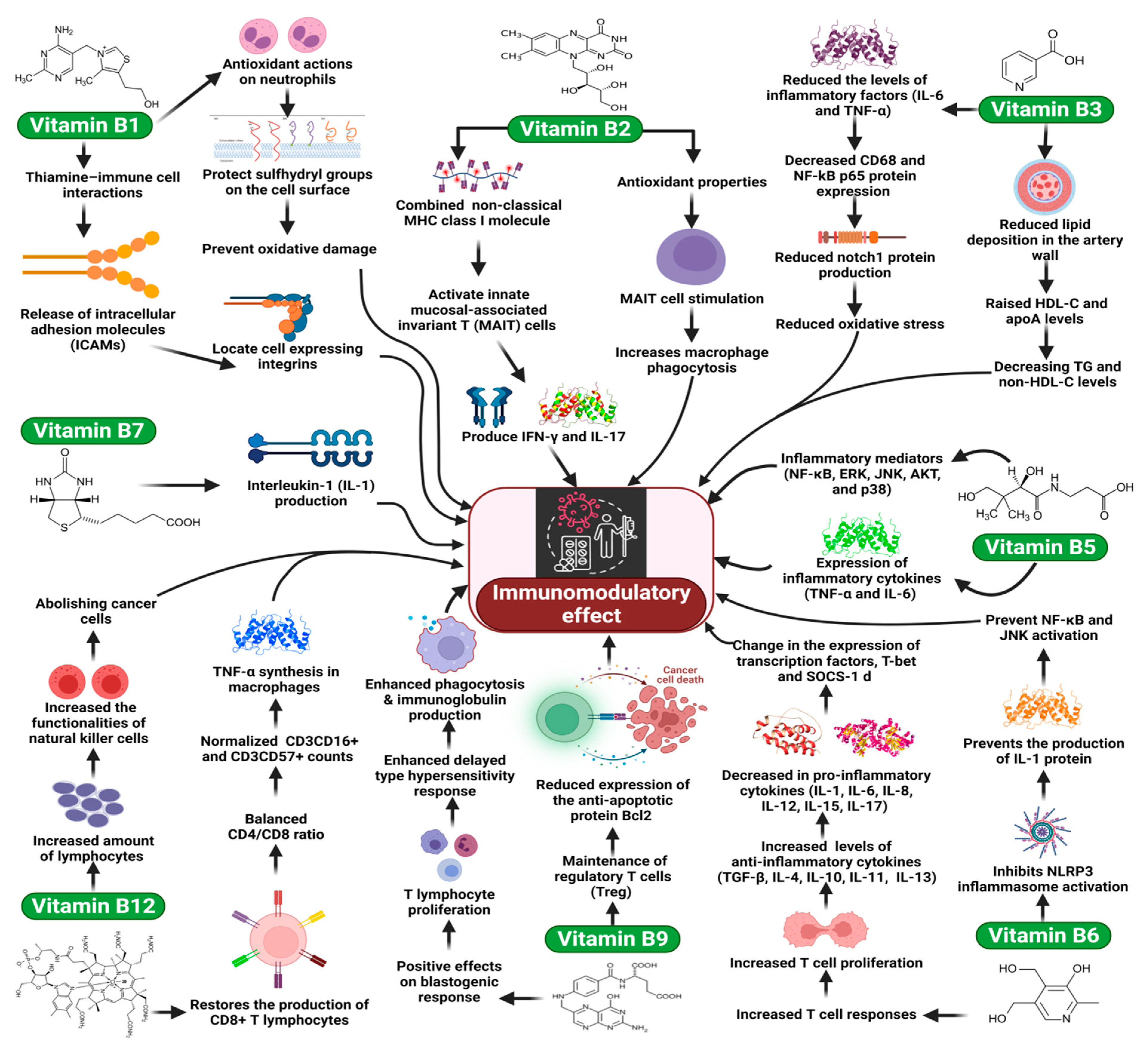 Molecules 27 00555 g001