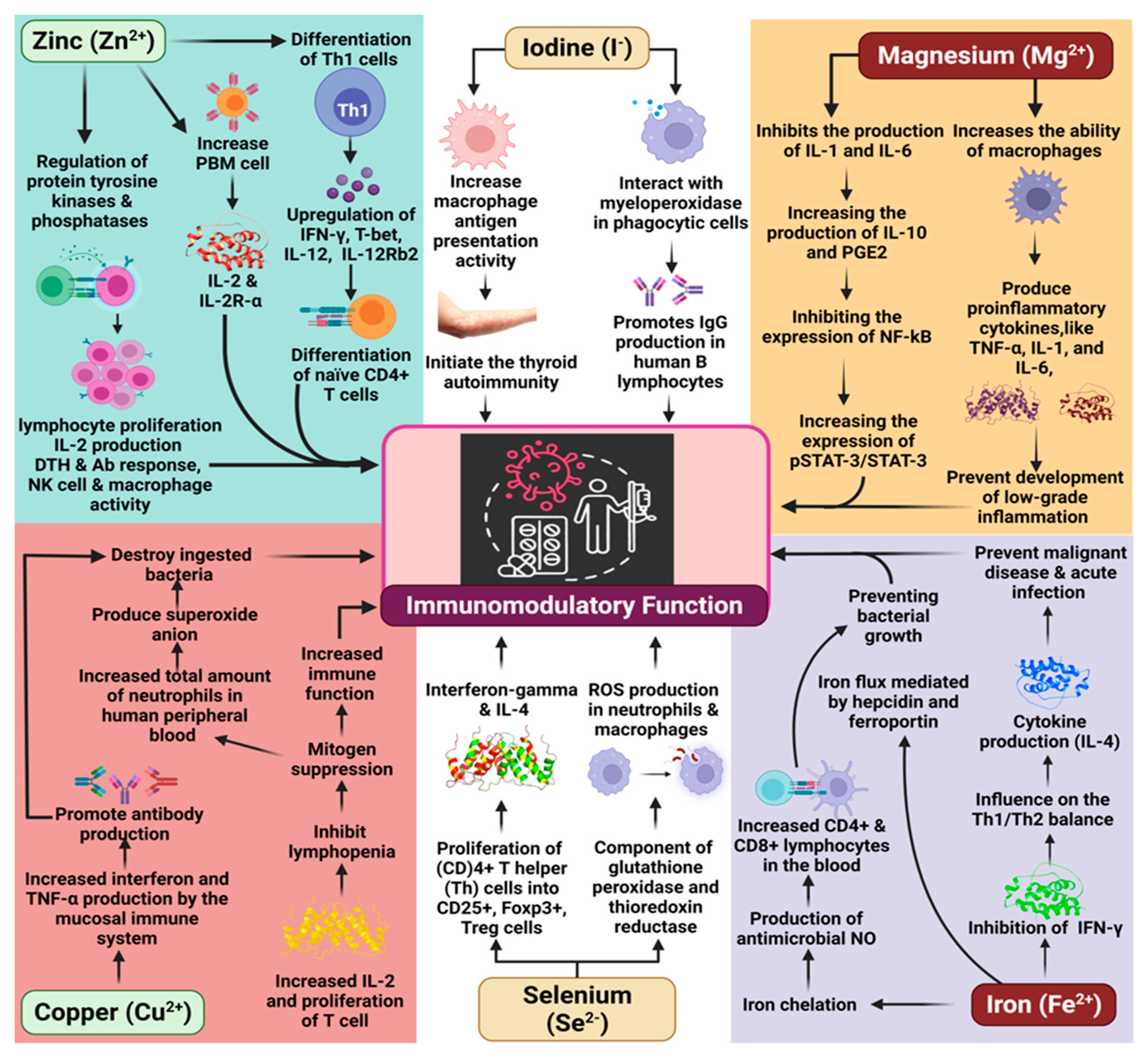 Molecules 27 00555 g002