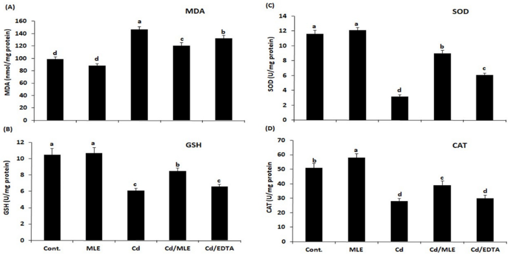 Molecules 27 00559 g003