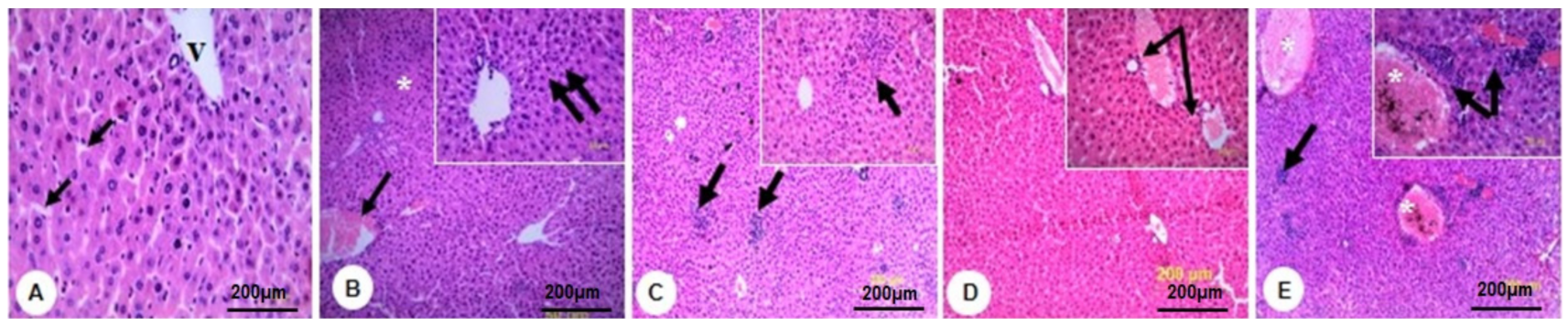 Molecules 27 00559 g004