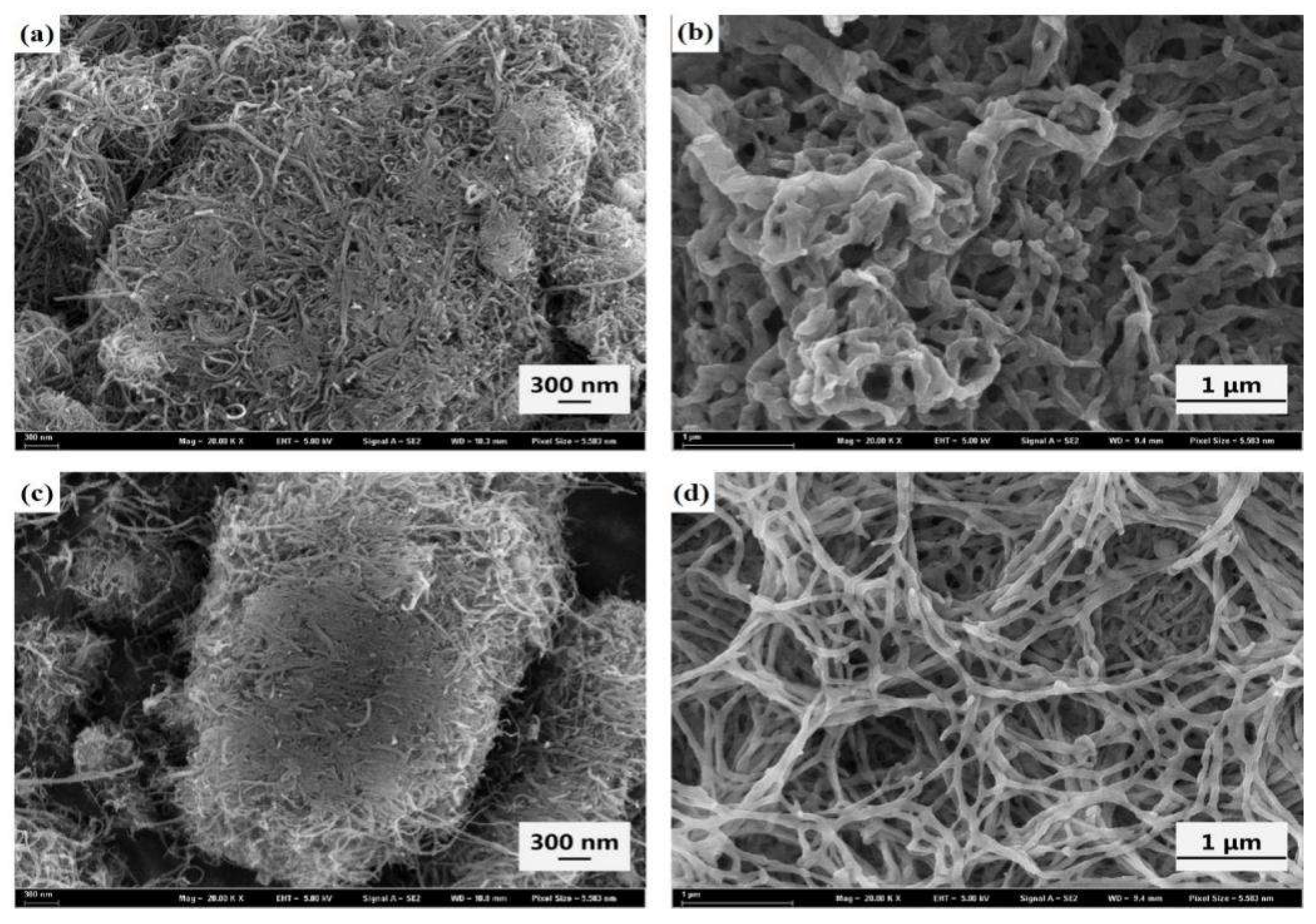 Molecules 27 00562 g001