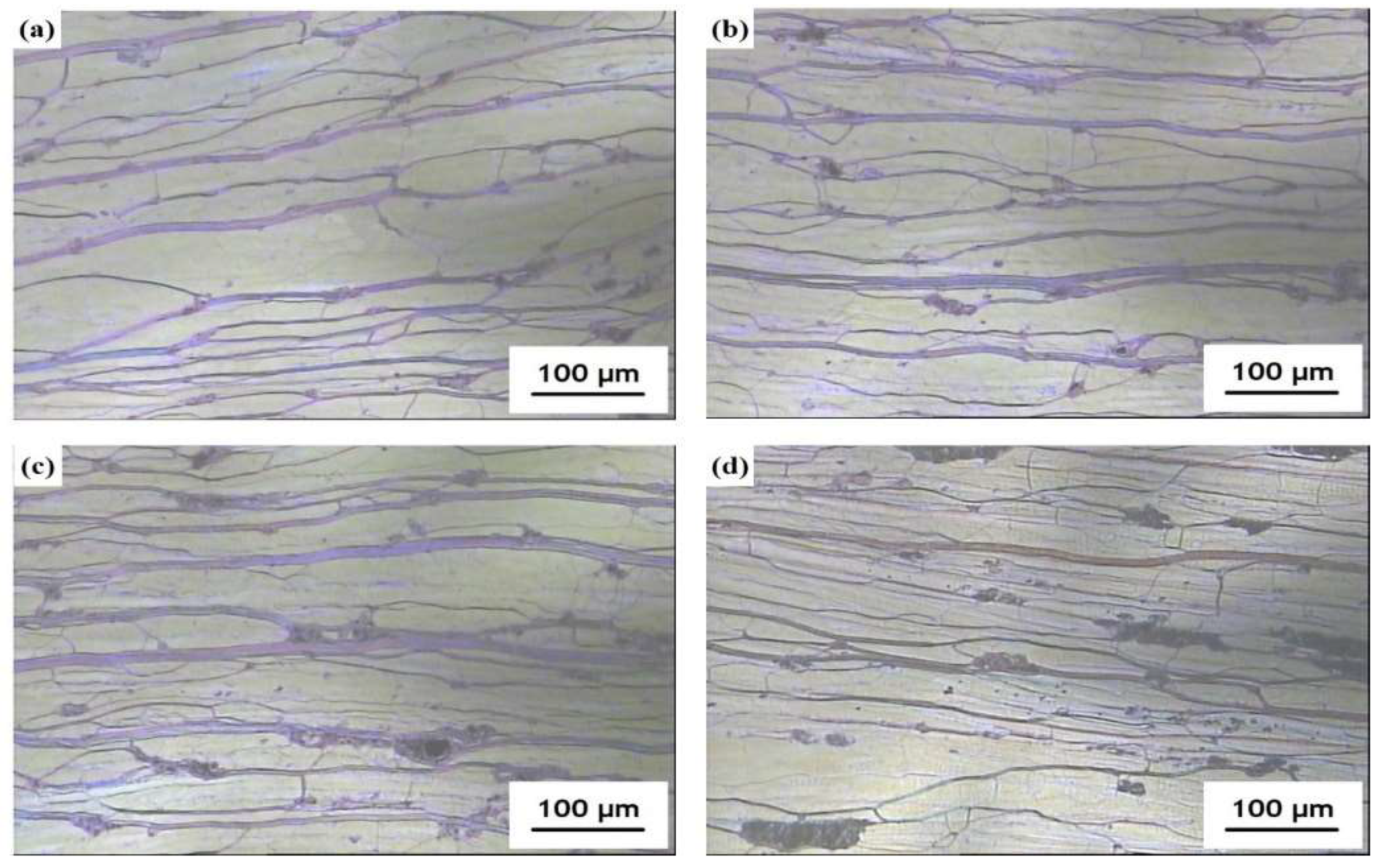 Molecules 27 00562 g002