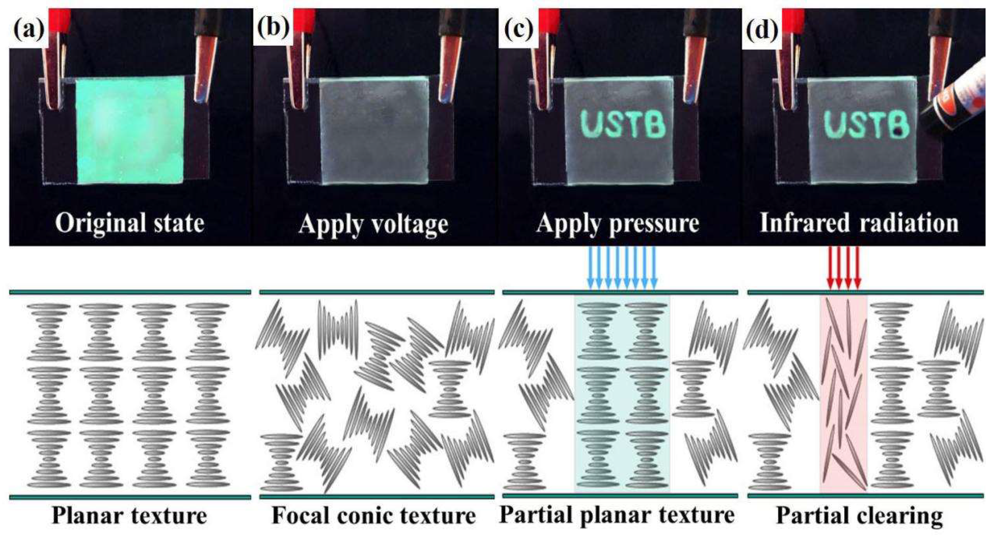 Molecules 27 00562 g005