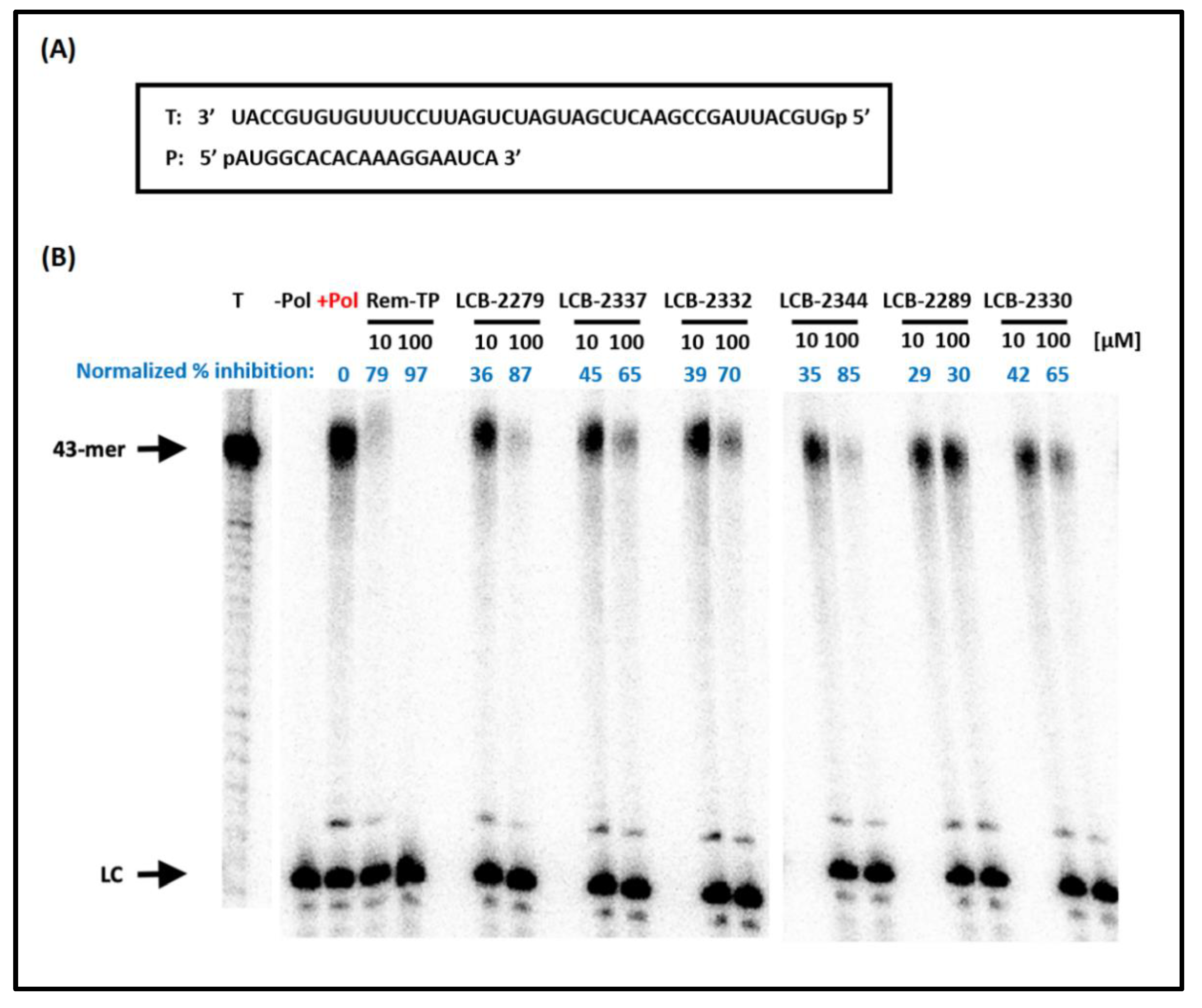 Molecules 27 00564 g003