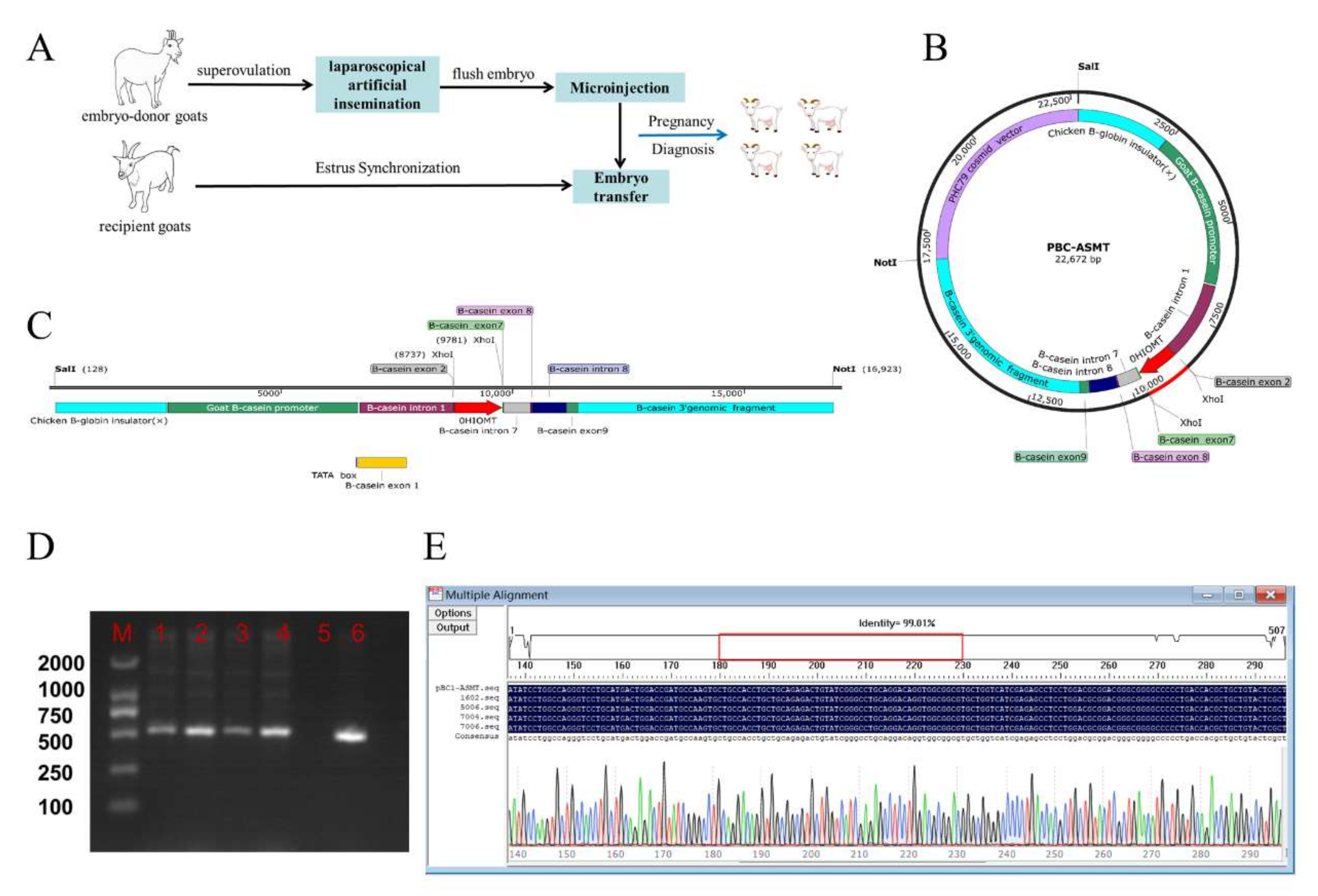 Molecules 27 00572 g001 Molecules 27 00572 g001