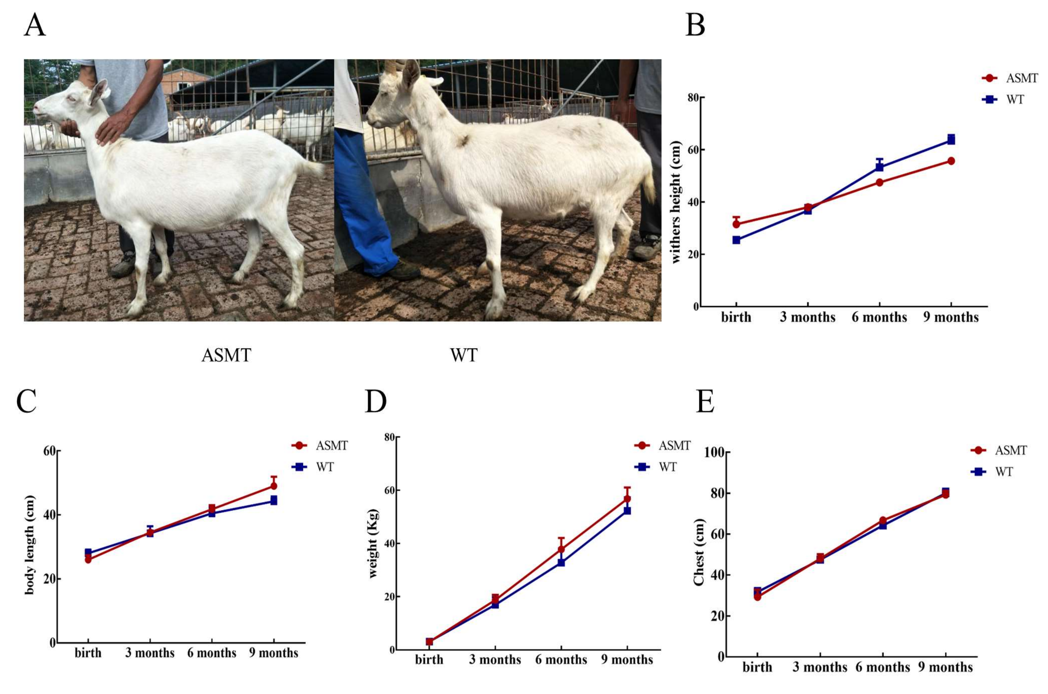 Molecules 27 00572 g002 Molecules 27 00572 g002