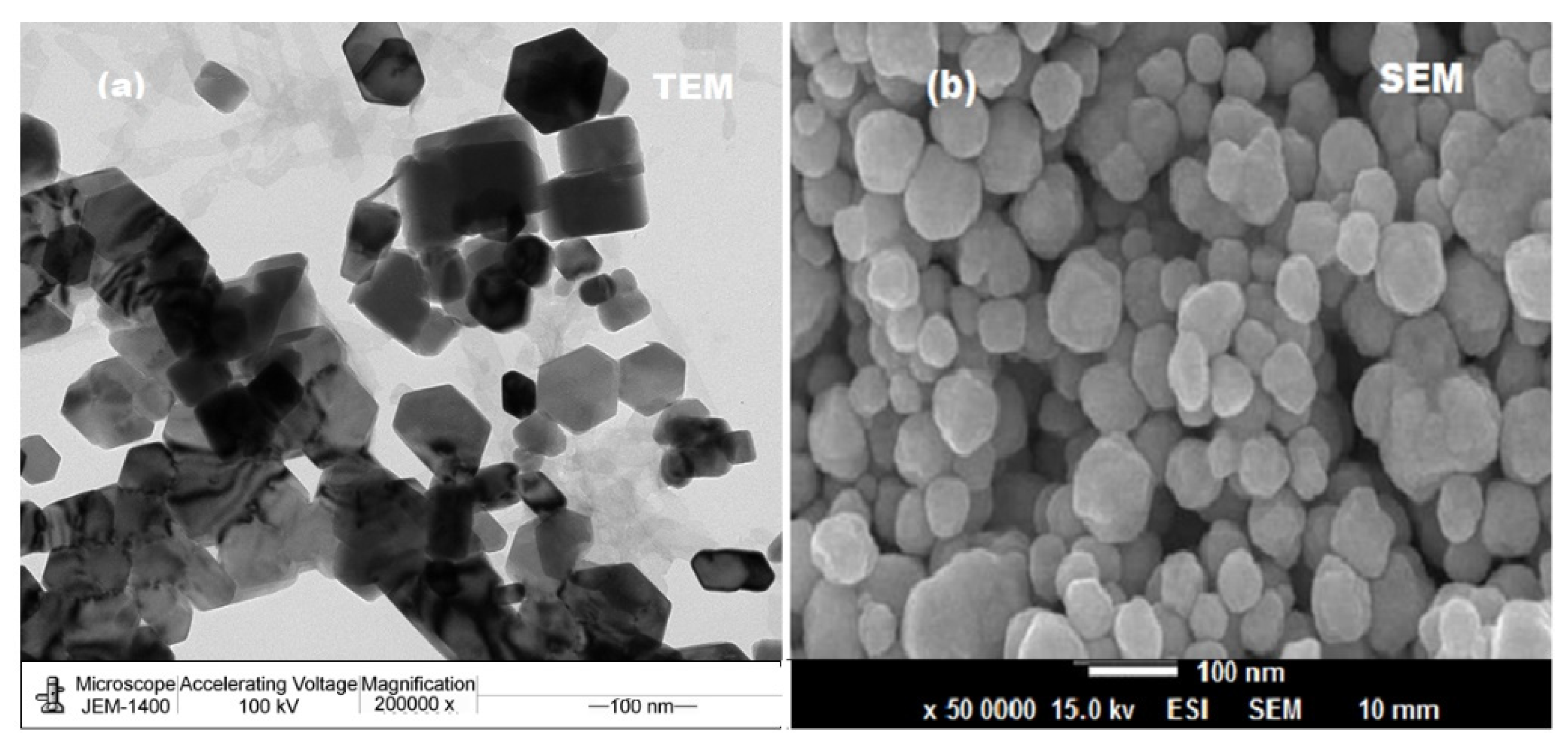 Molecules 27 00579 g005