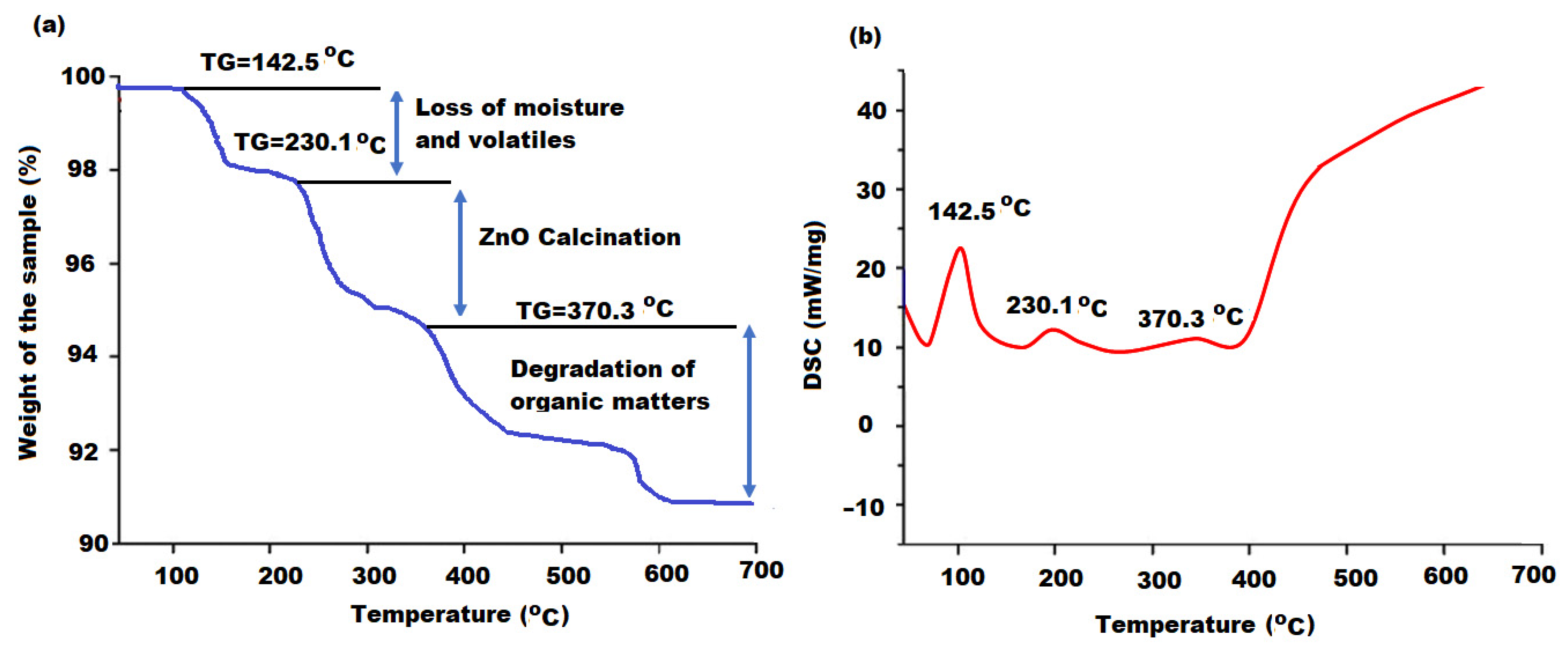 Molecules 27 00579 g006