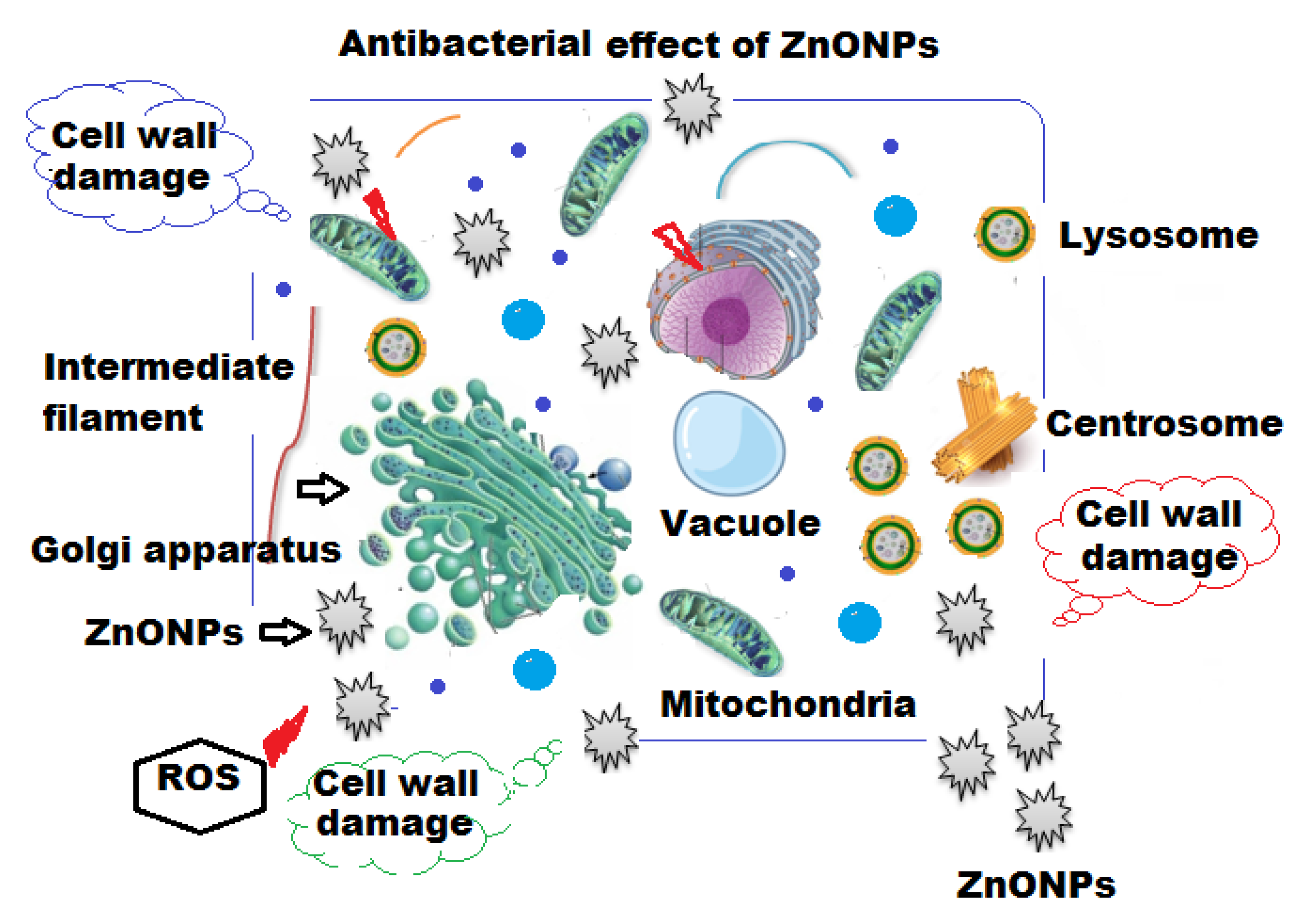 Molecules 27 00579 g009