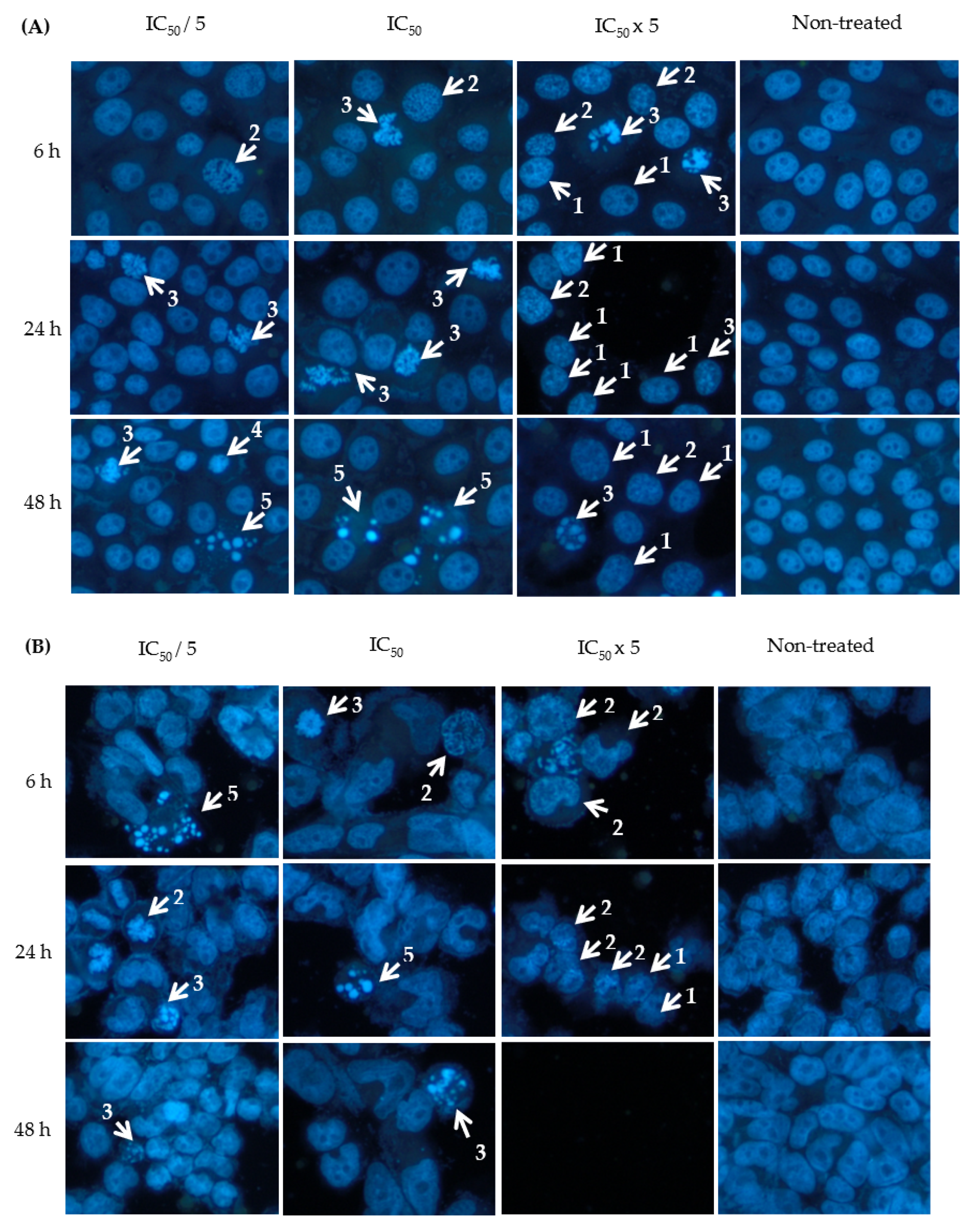 Molecules 27 00585 g003a