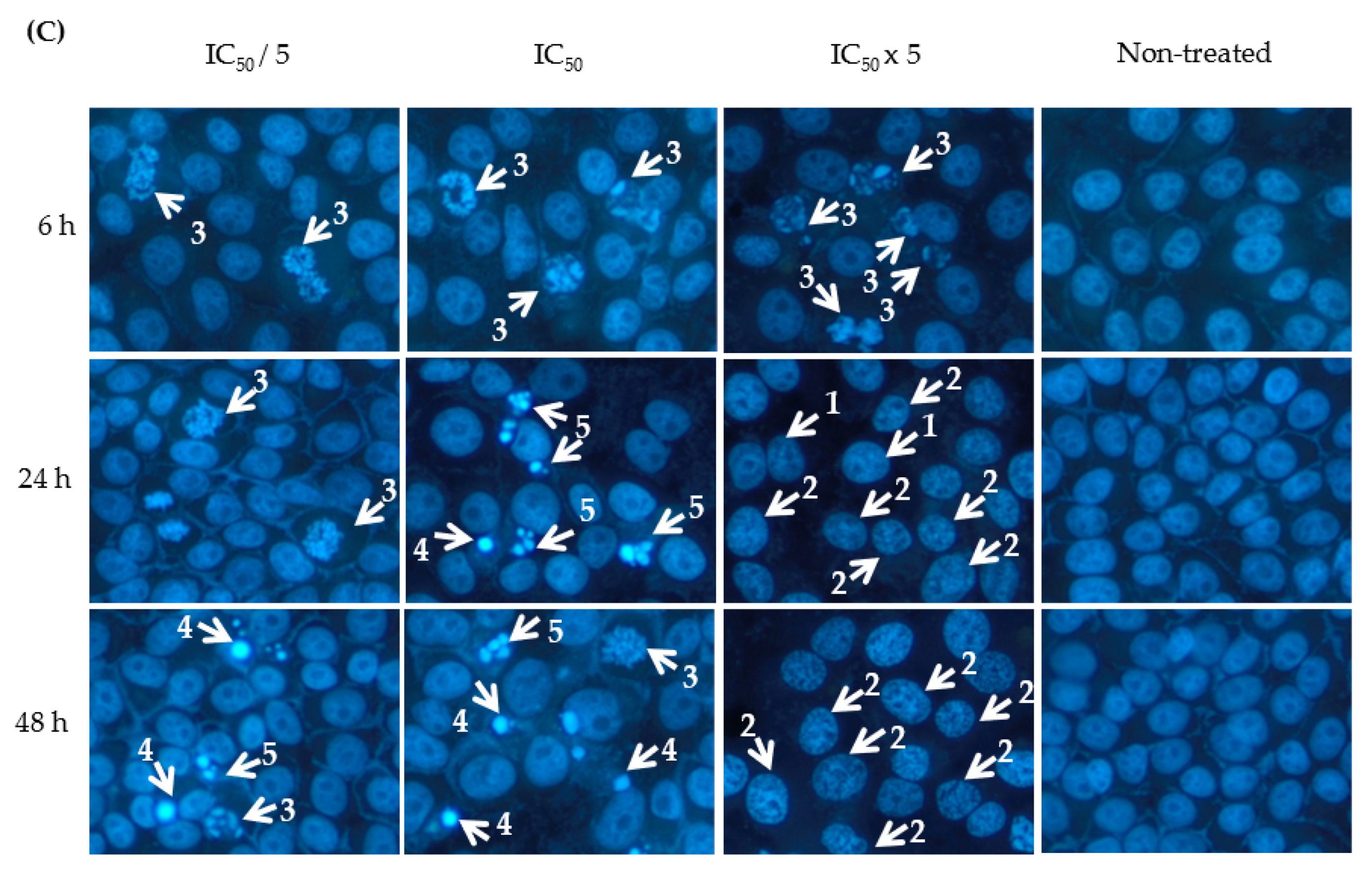 Molecules 27 00585 g003b