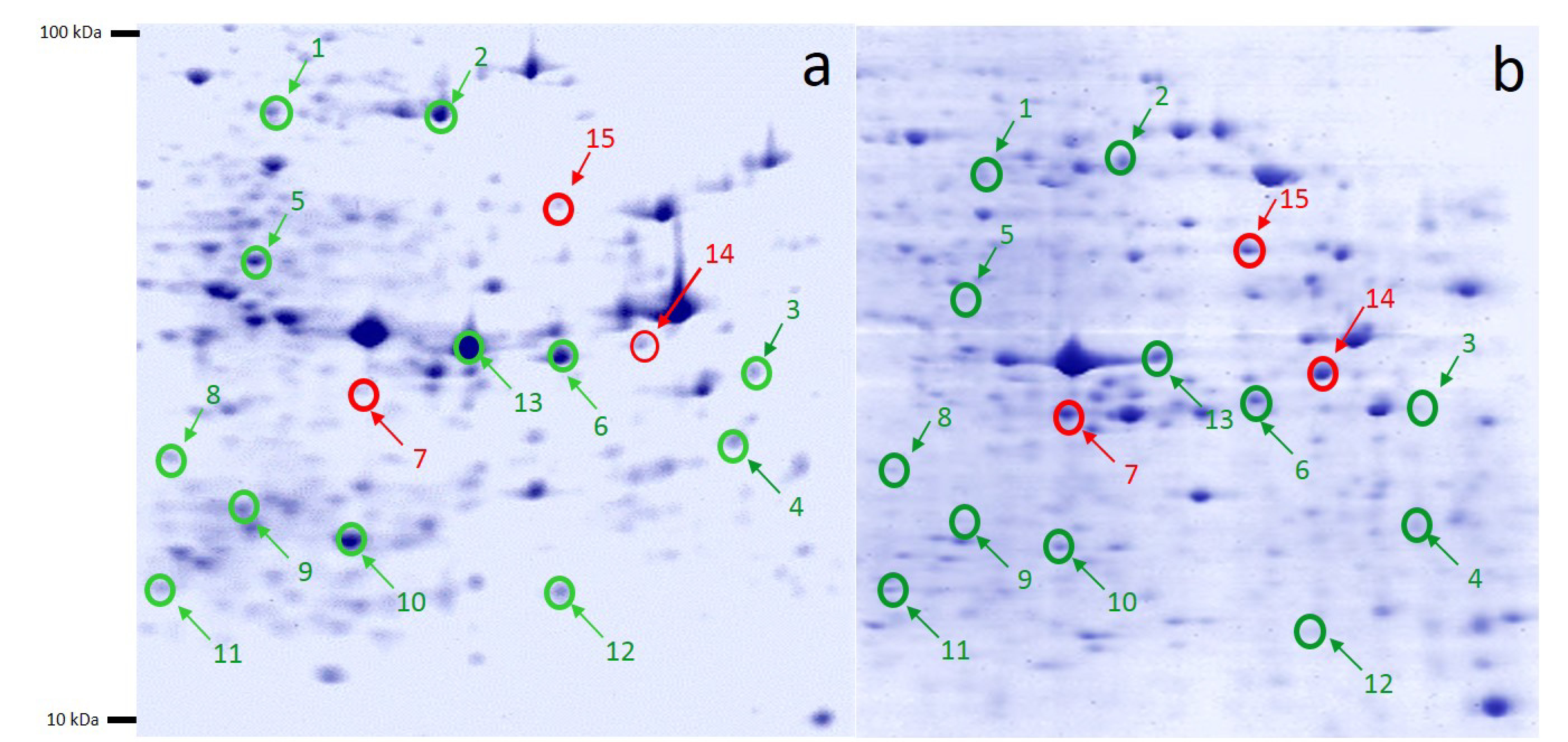 Molecules 27 00585 g004