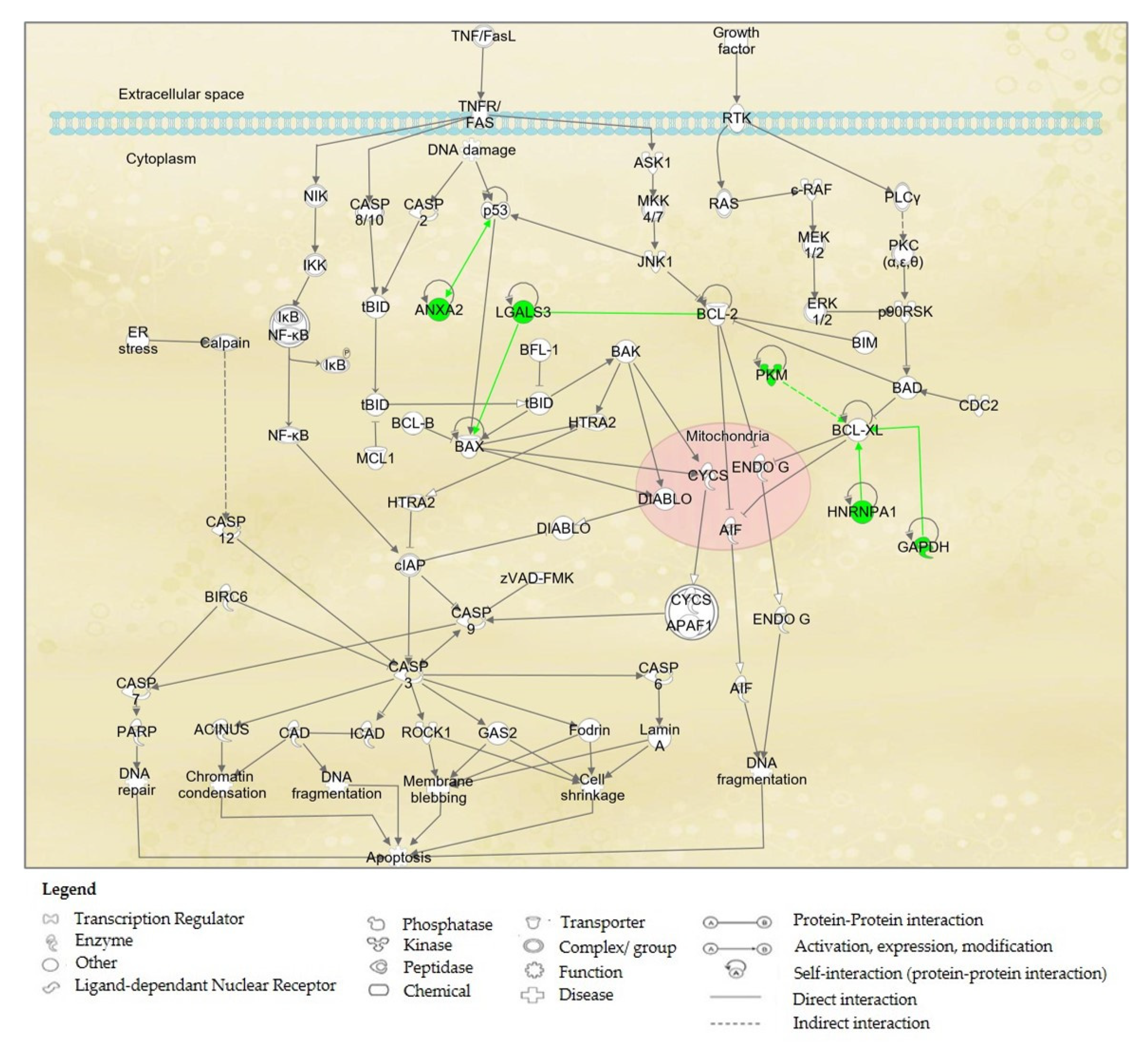 Molecules 27 00585 g005
