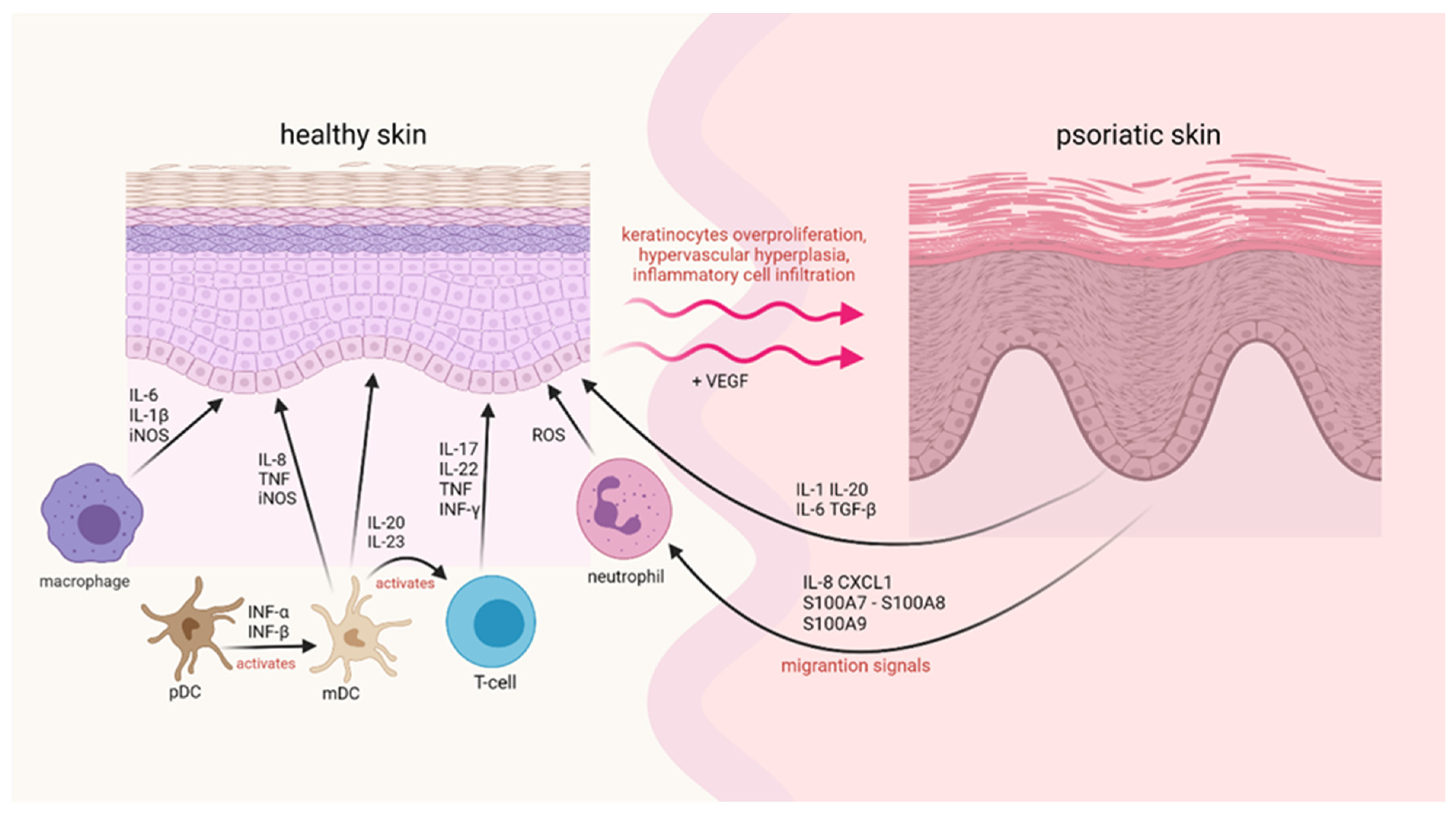 Molecules 27 00591 g001