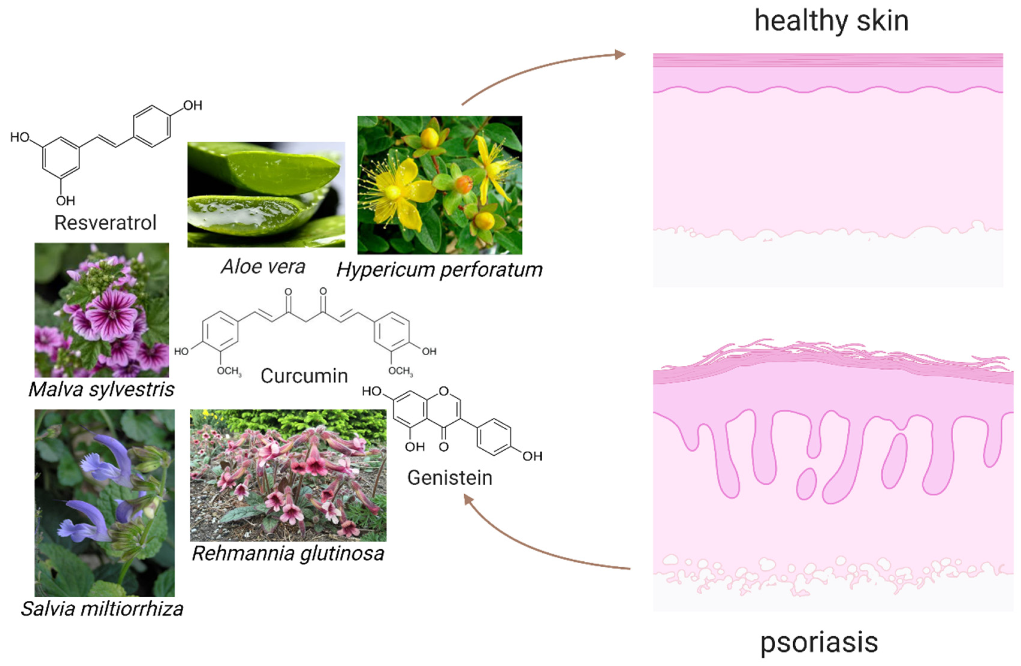 Molecules 27 00591 g002