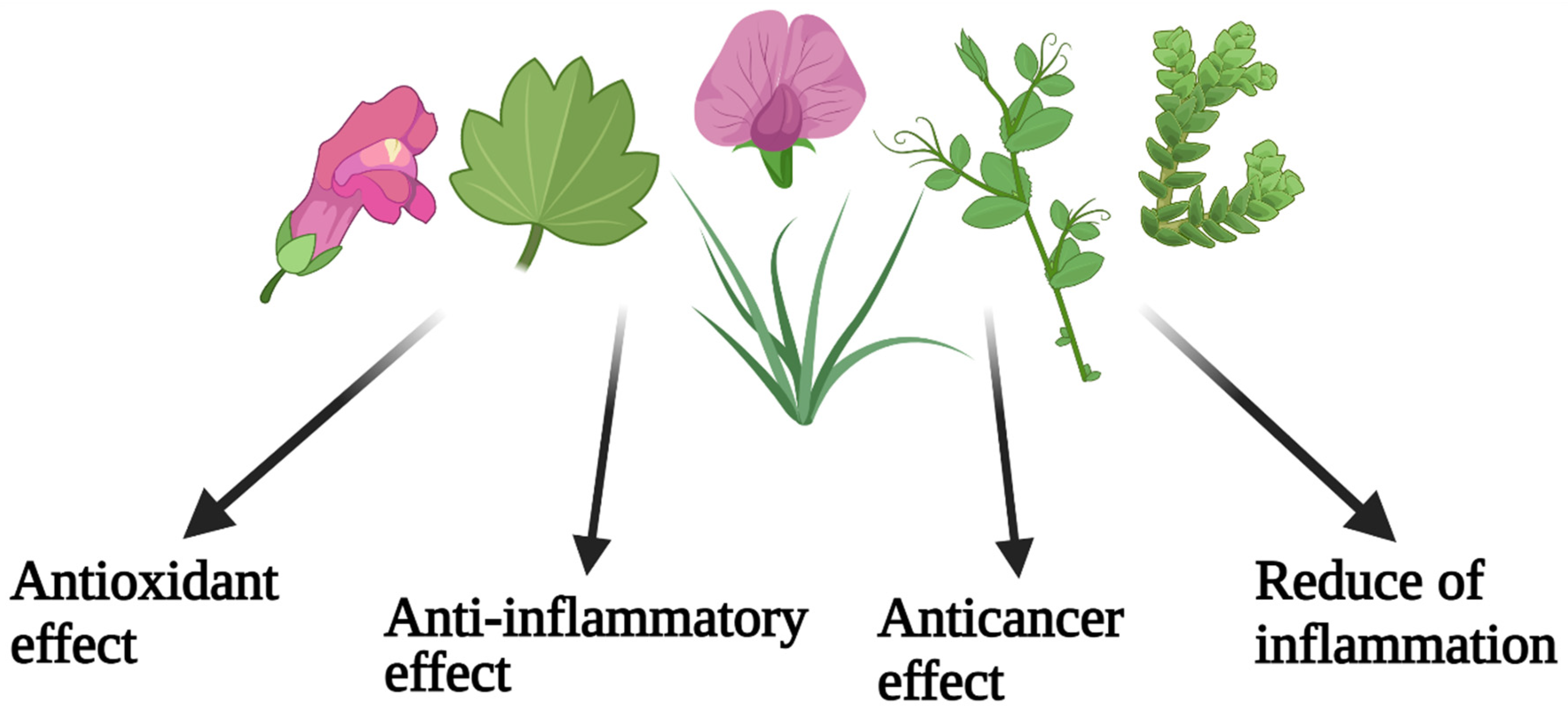 Molecules 27 00591 g003