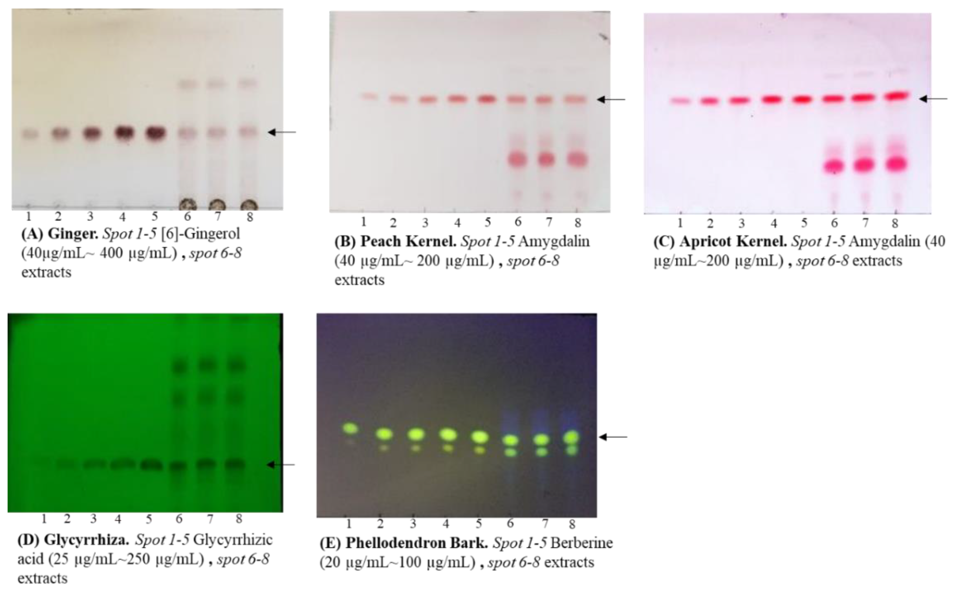 Molecules 27 00593 g001