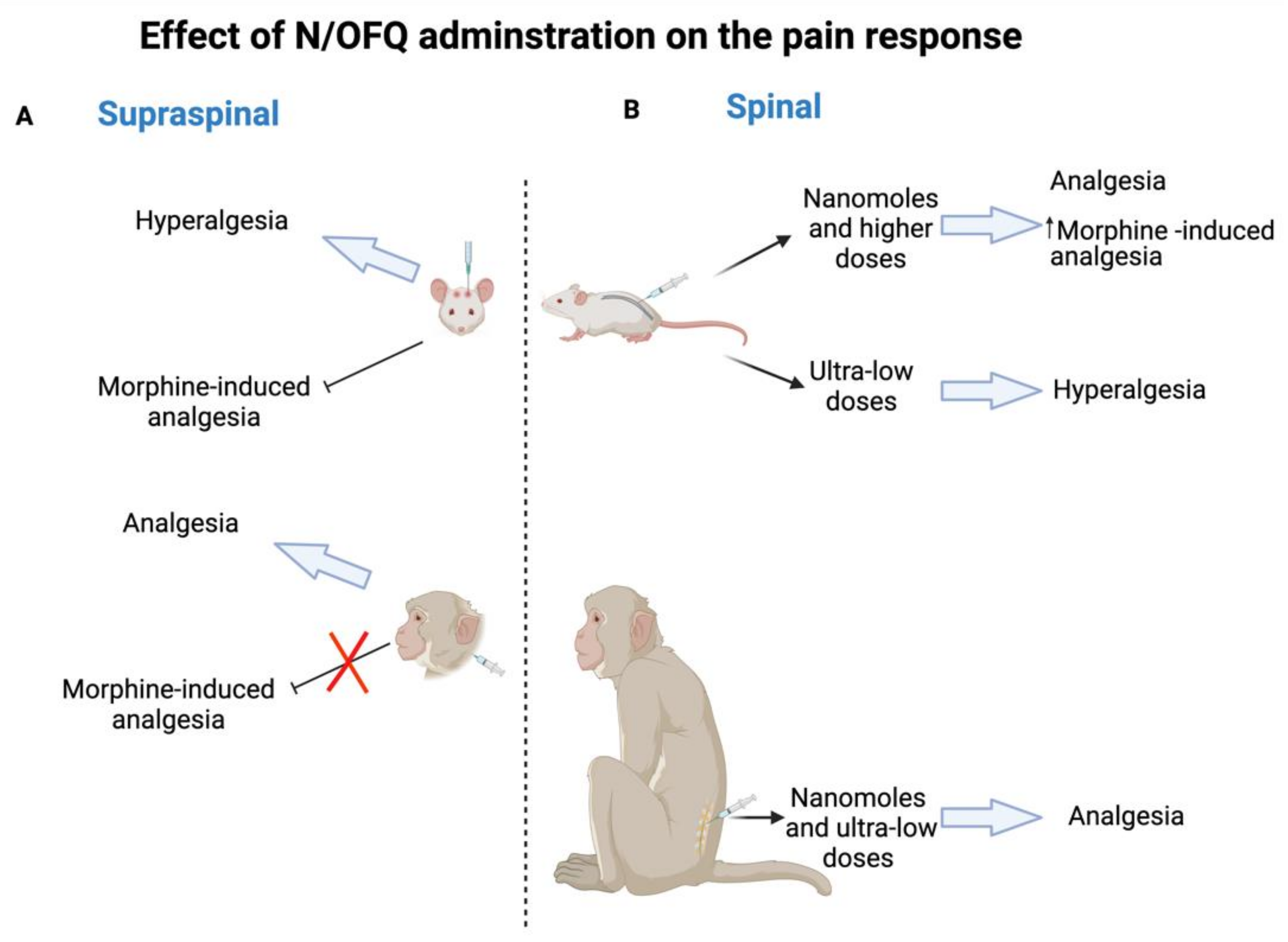 Molecules 27 00595 g001