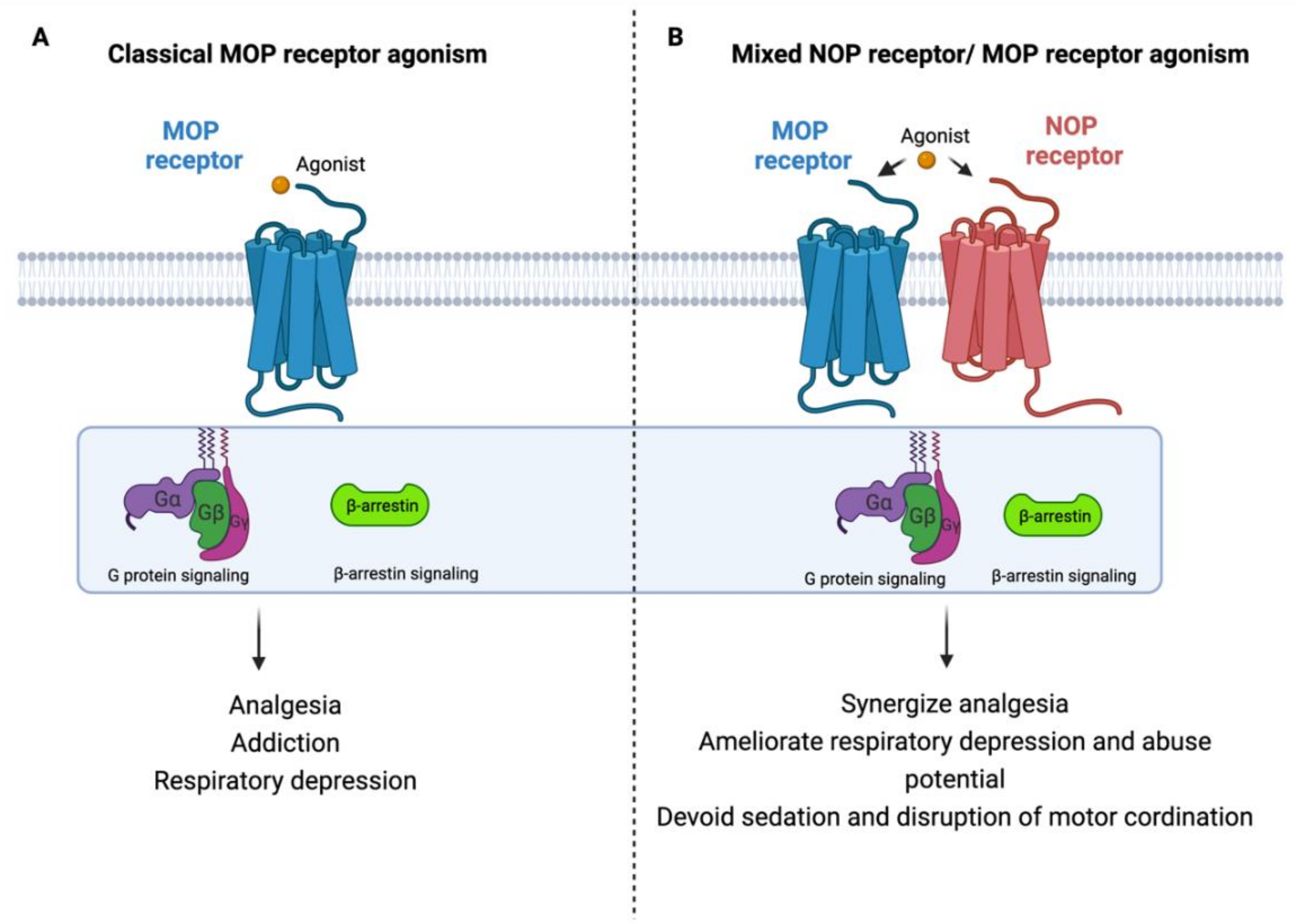Molecules 27 00595 g002