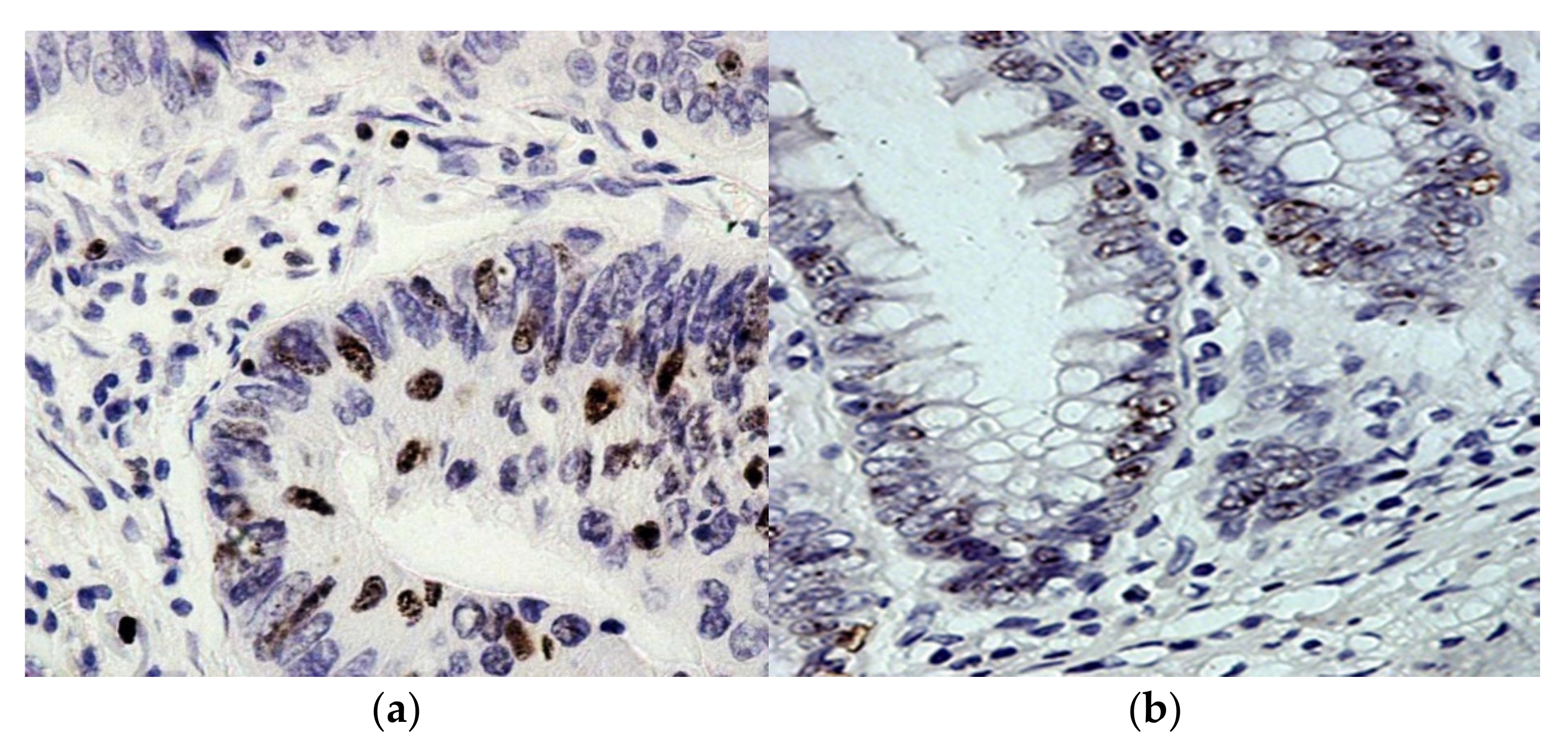 Molecules 27 00596 g003