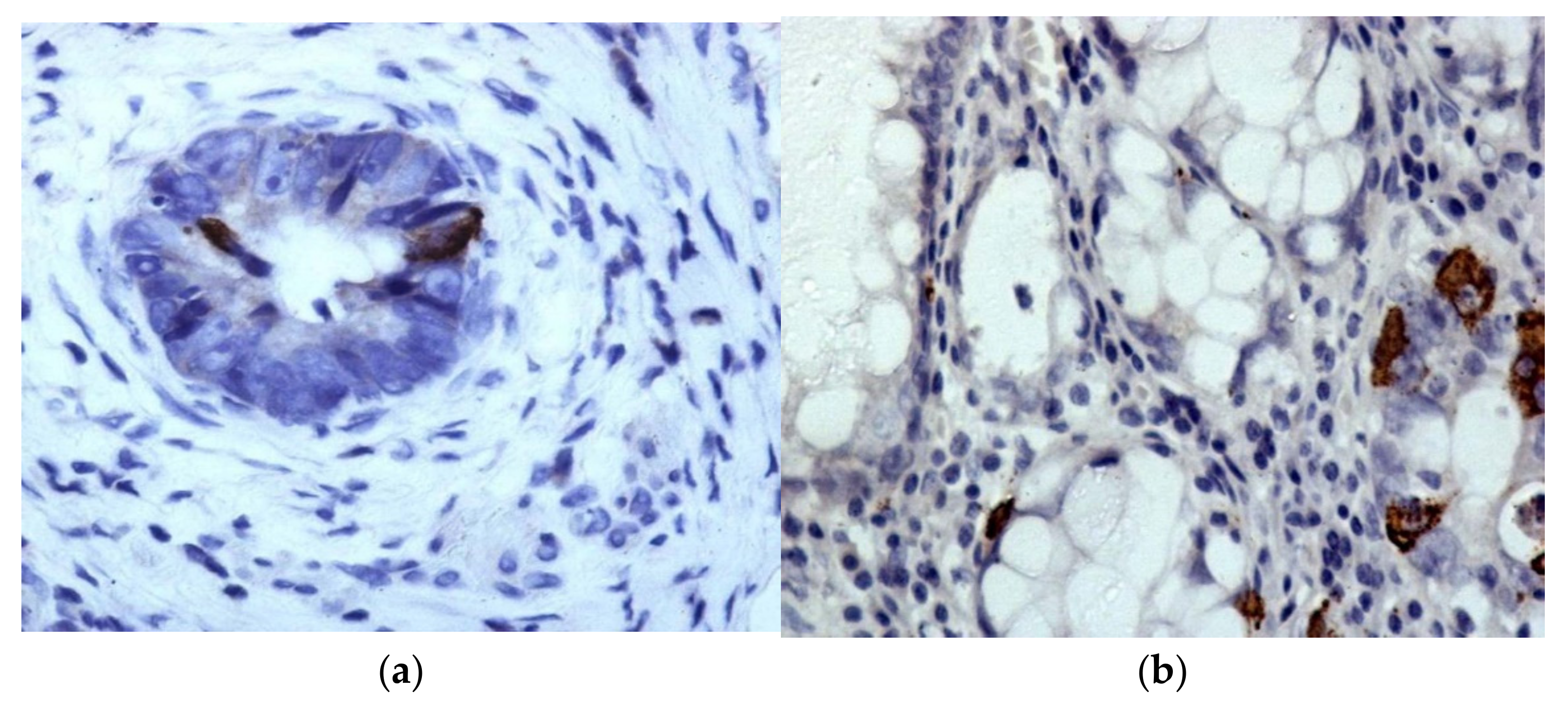 Molecules 27 00596 g004