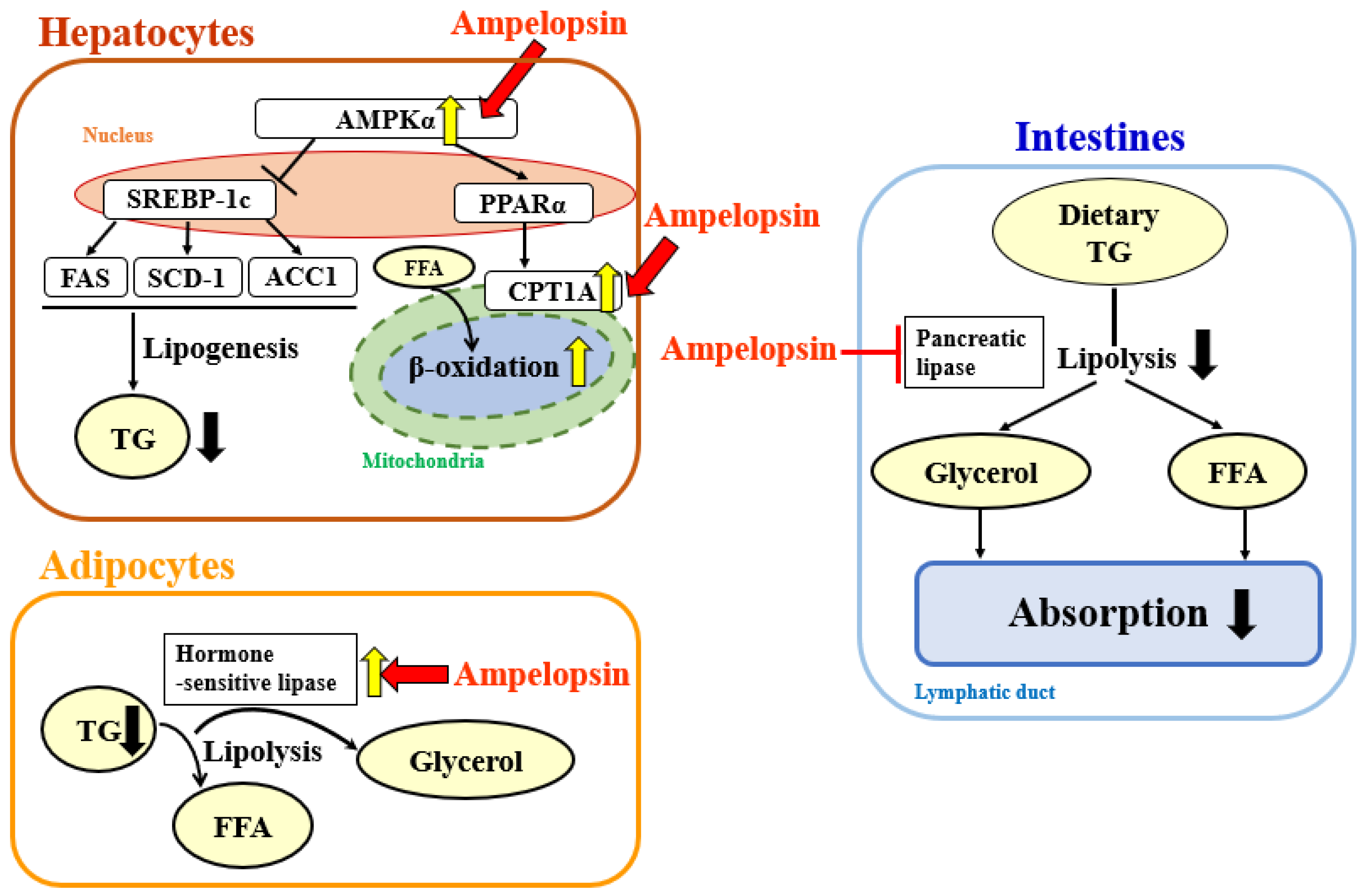 Molecules 27 00607 g009