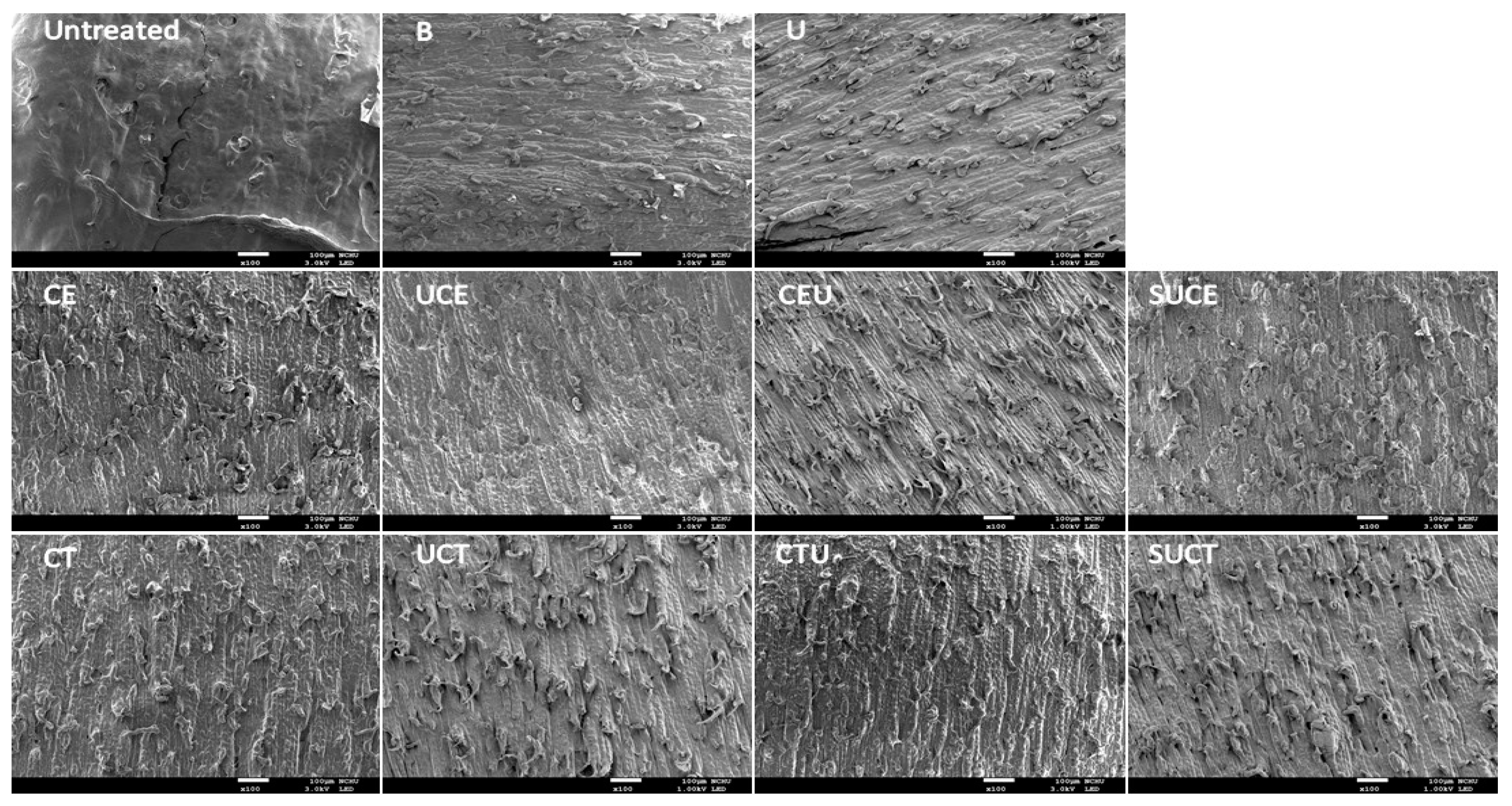 Molecules 27 00612 g002
