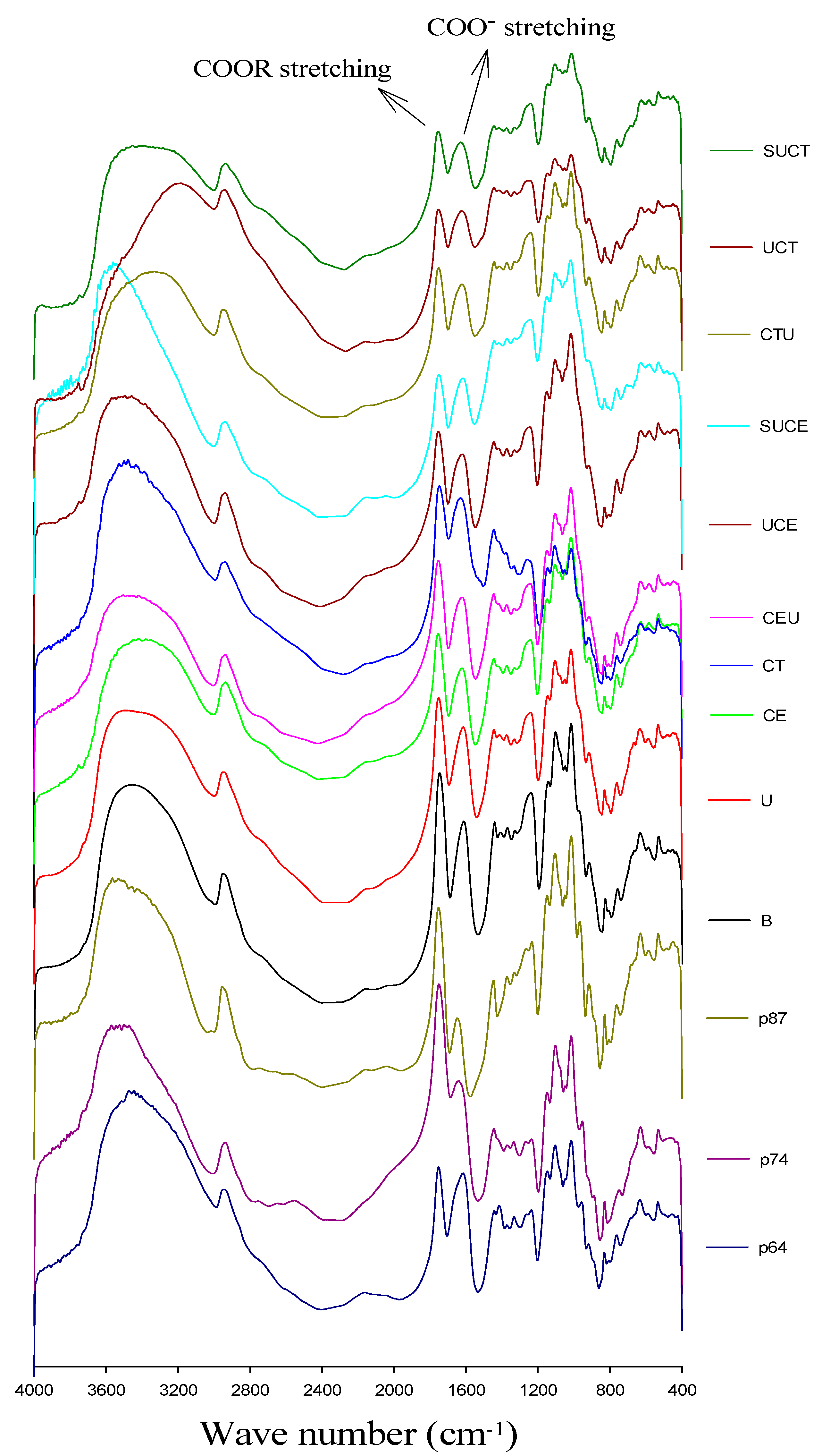 Molecules 27 00612 g003