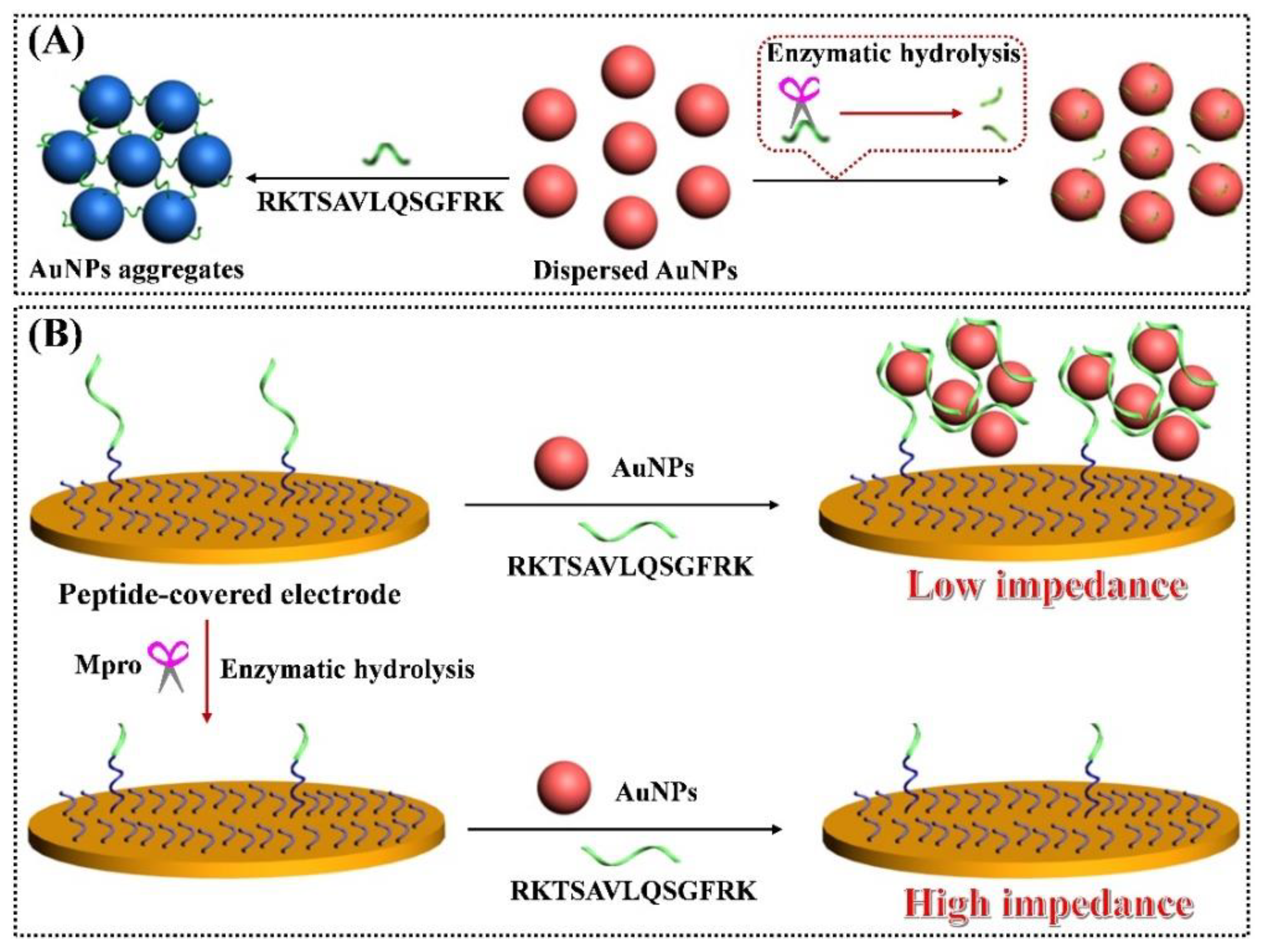 Molecules 27 00615 sch001 Molecules 27 00615 sch001