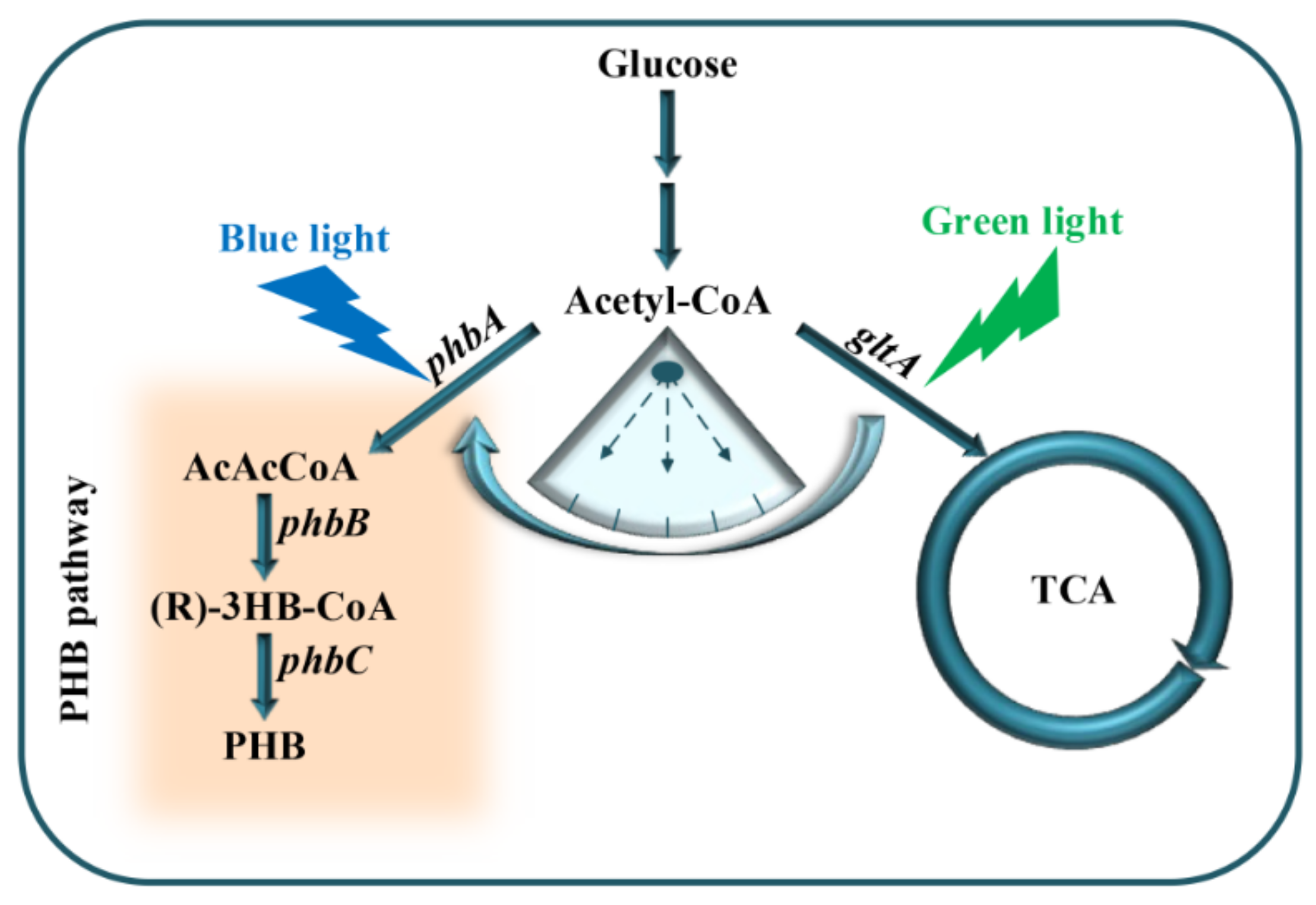 Molecules 27 00617 g001