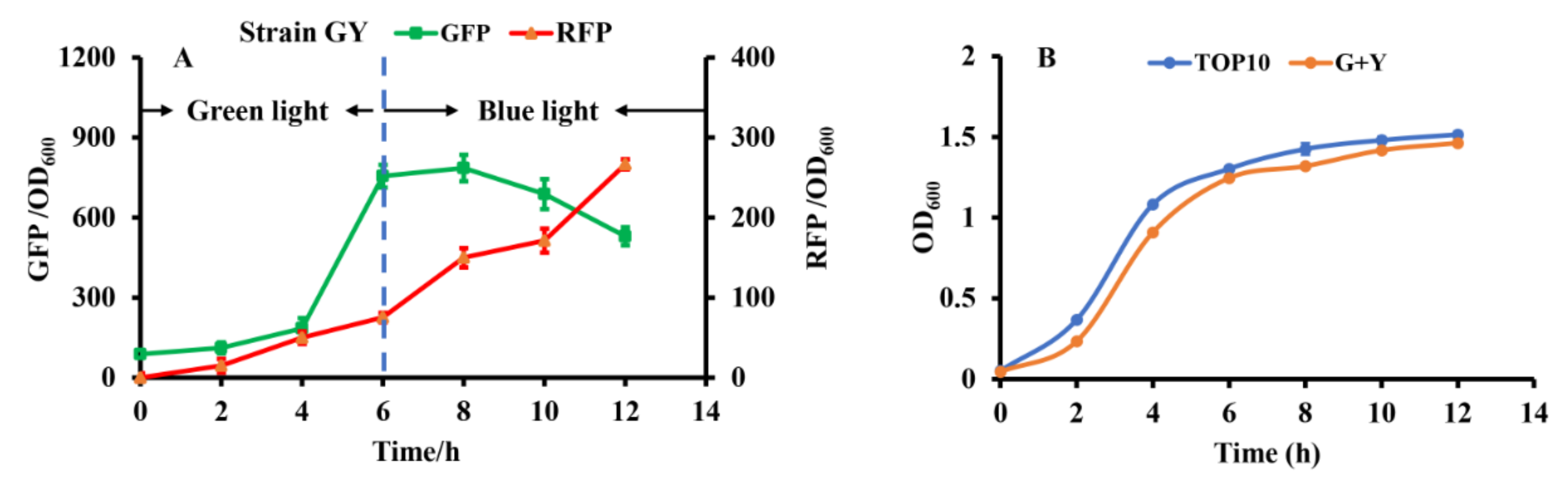 Molecules 27 00617 g004