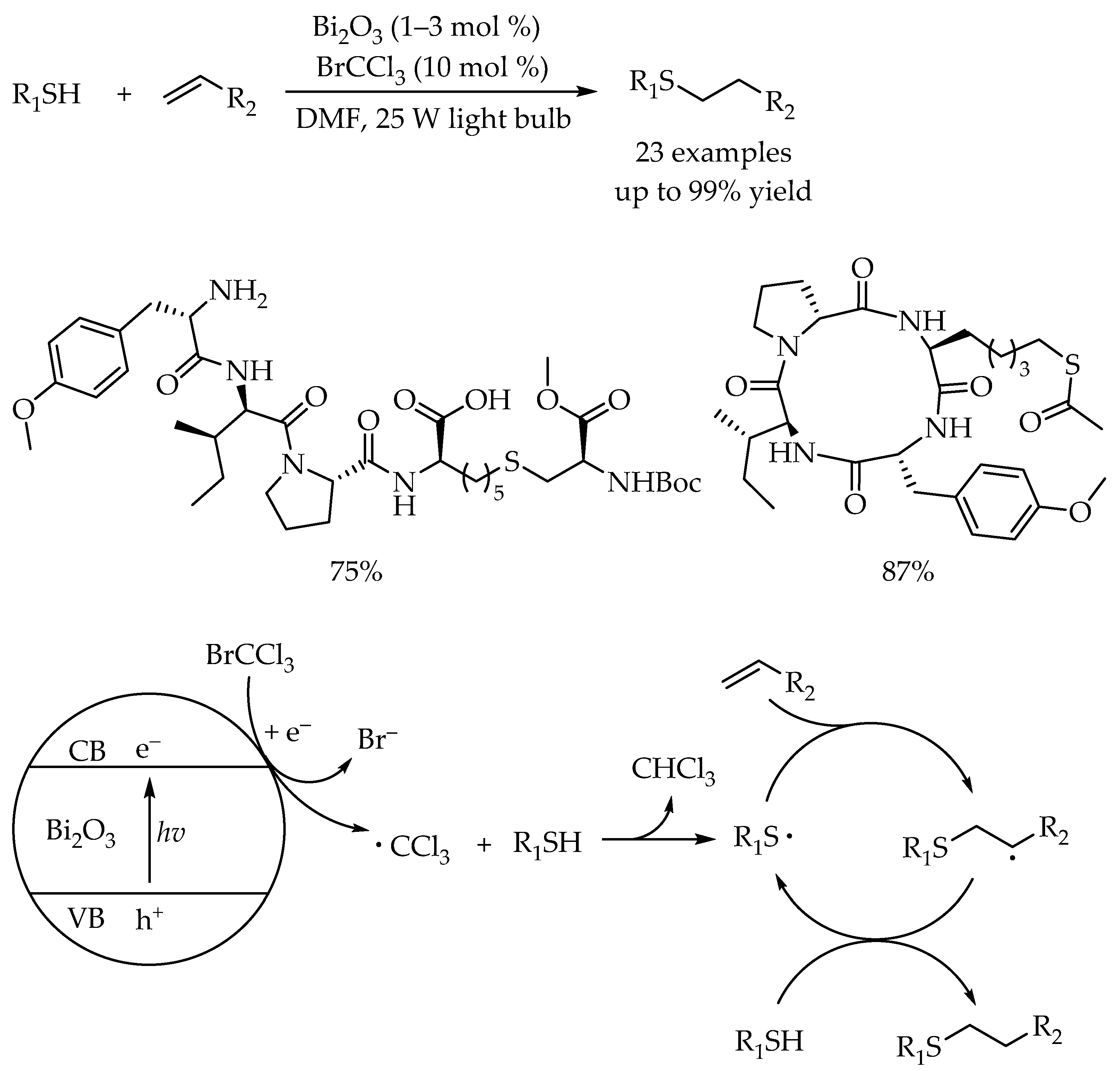Molecules 27 00619 sch003