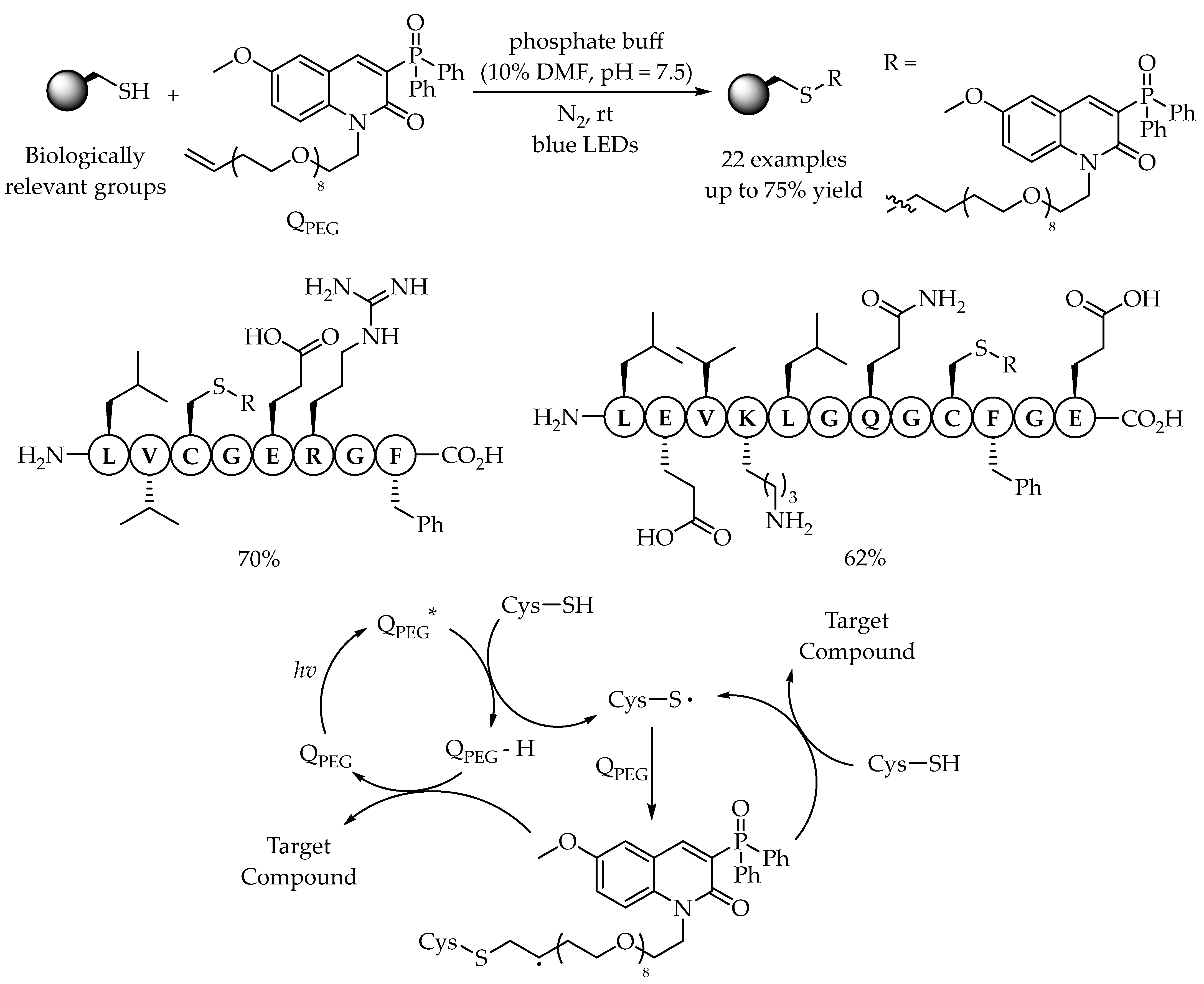 Molecules 27 00619 sch009