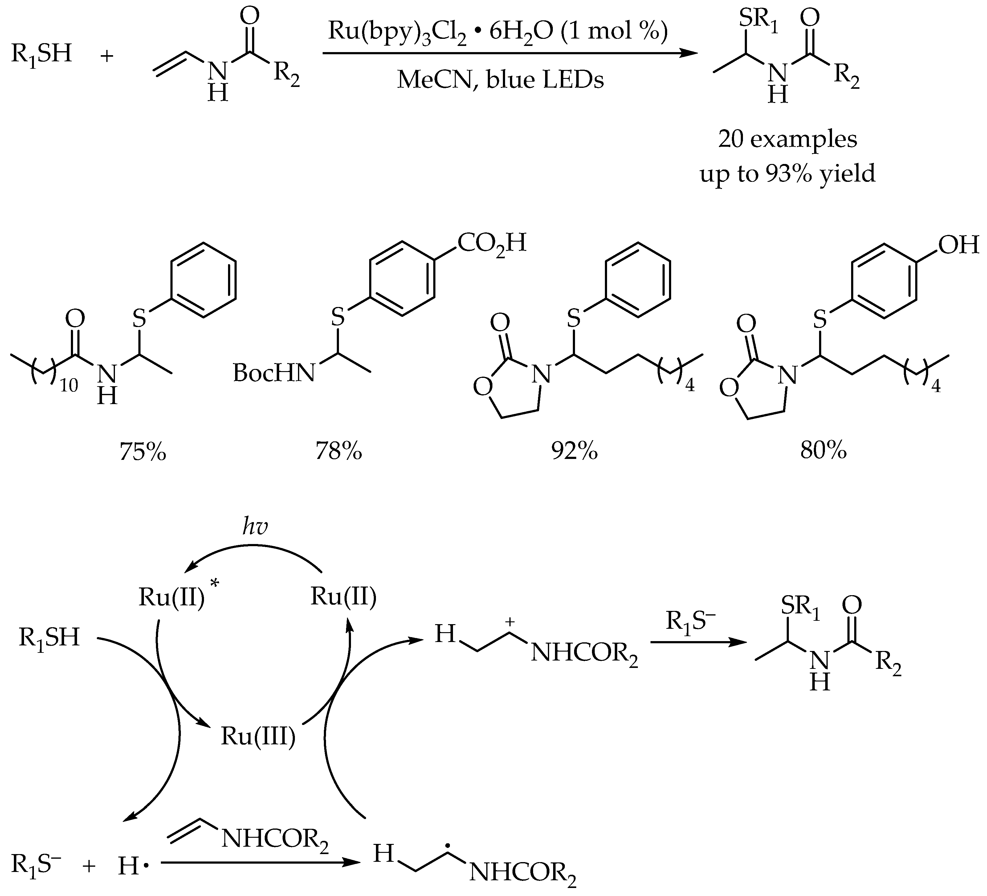 Molecules 27 00619 sch021