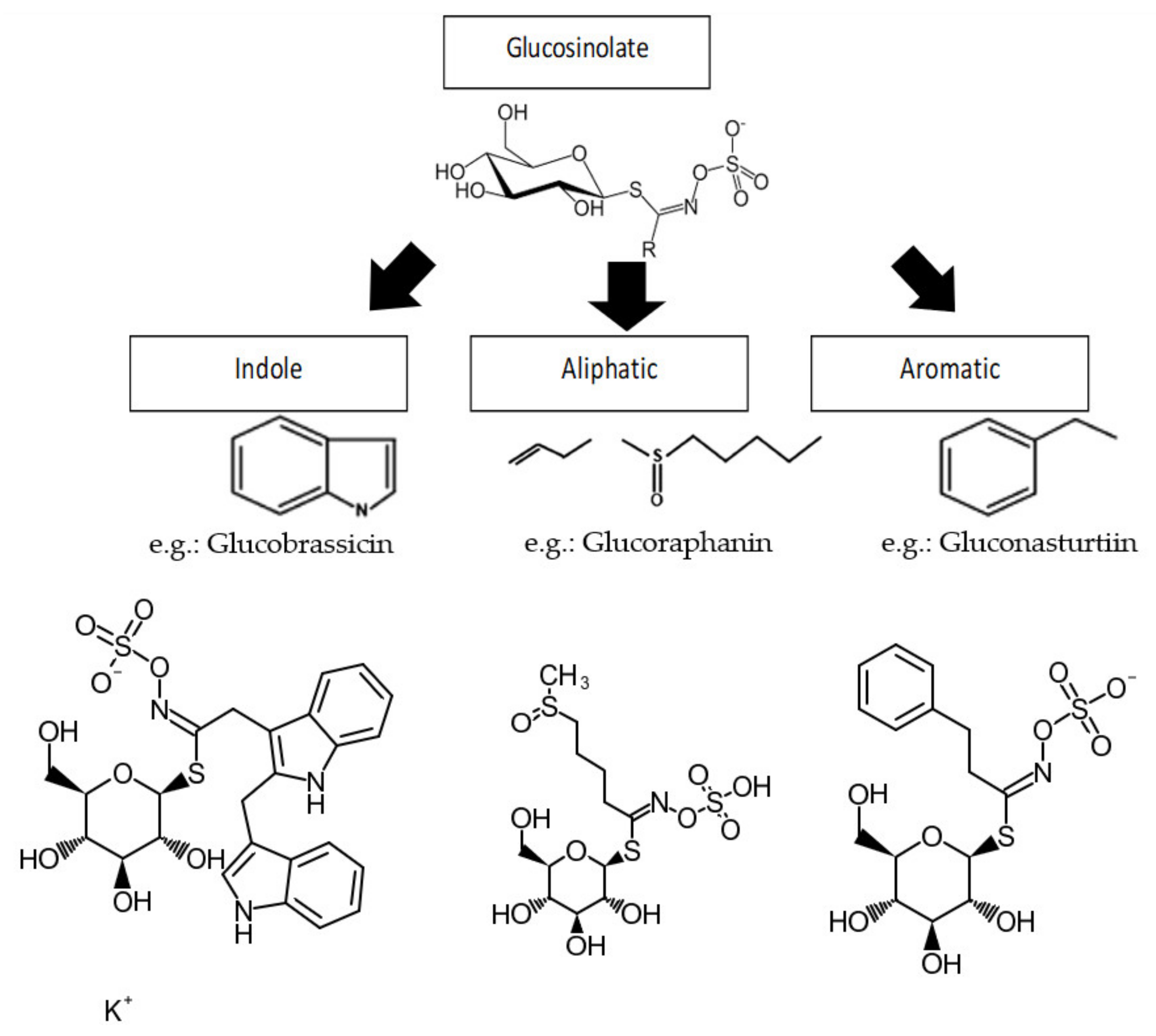 Molecules 27 00624 g001 Molecules 27 00624 g001