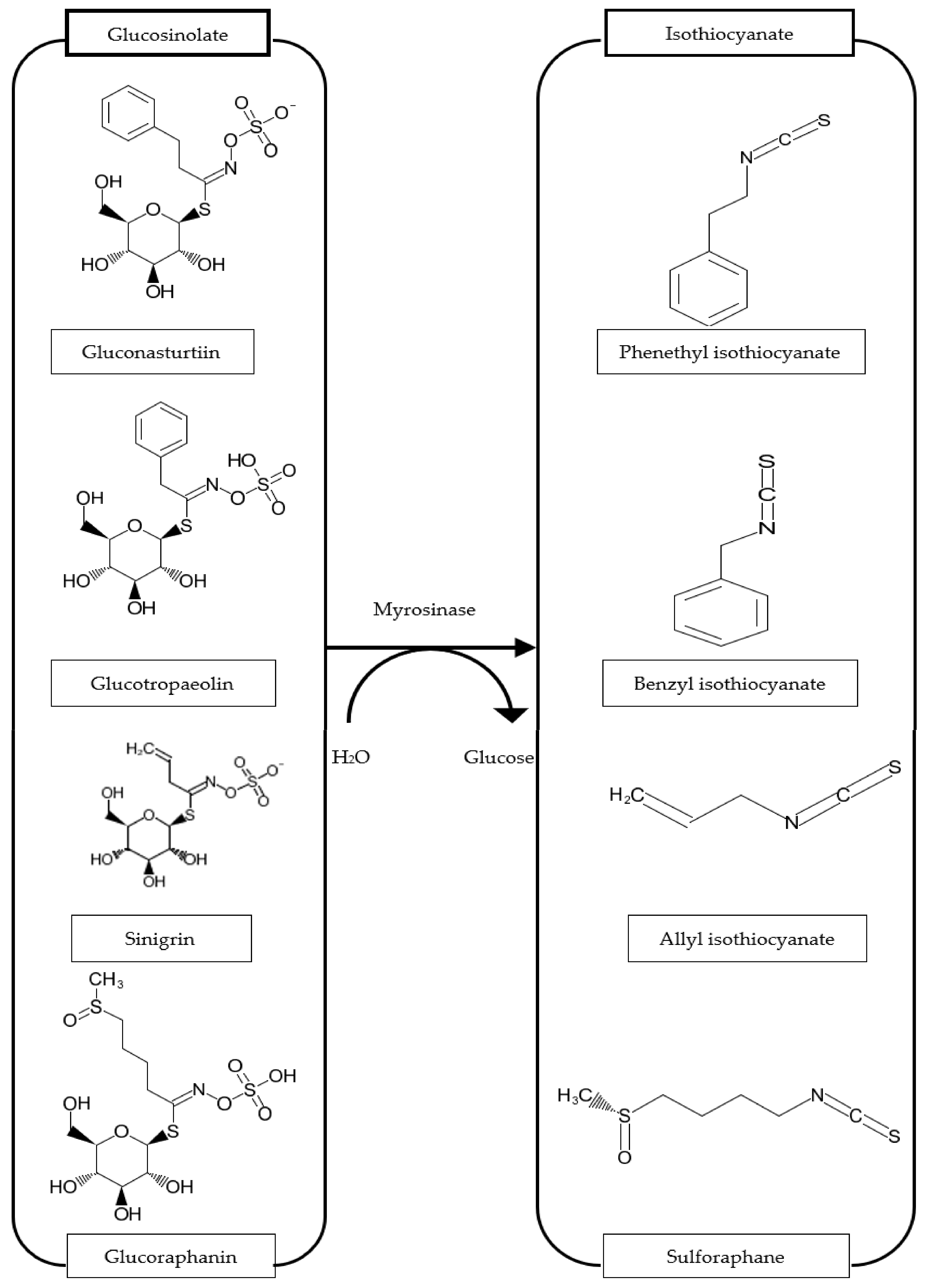 Molecules 27 00624 g003 Molecules 27 00624 g003