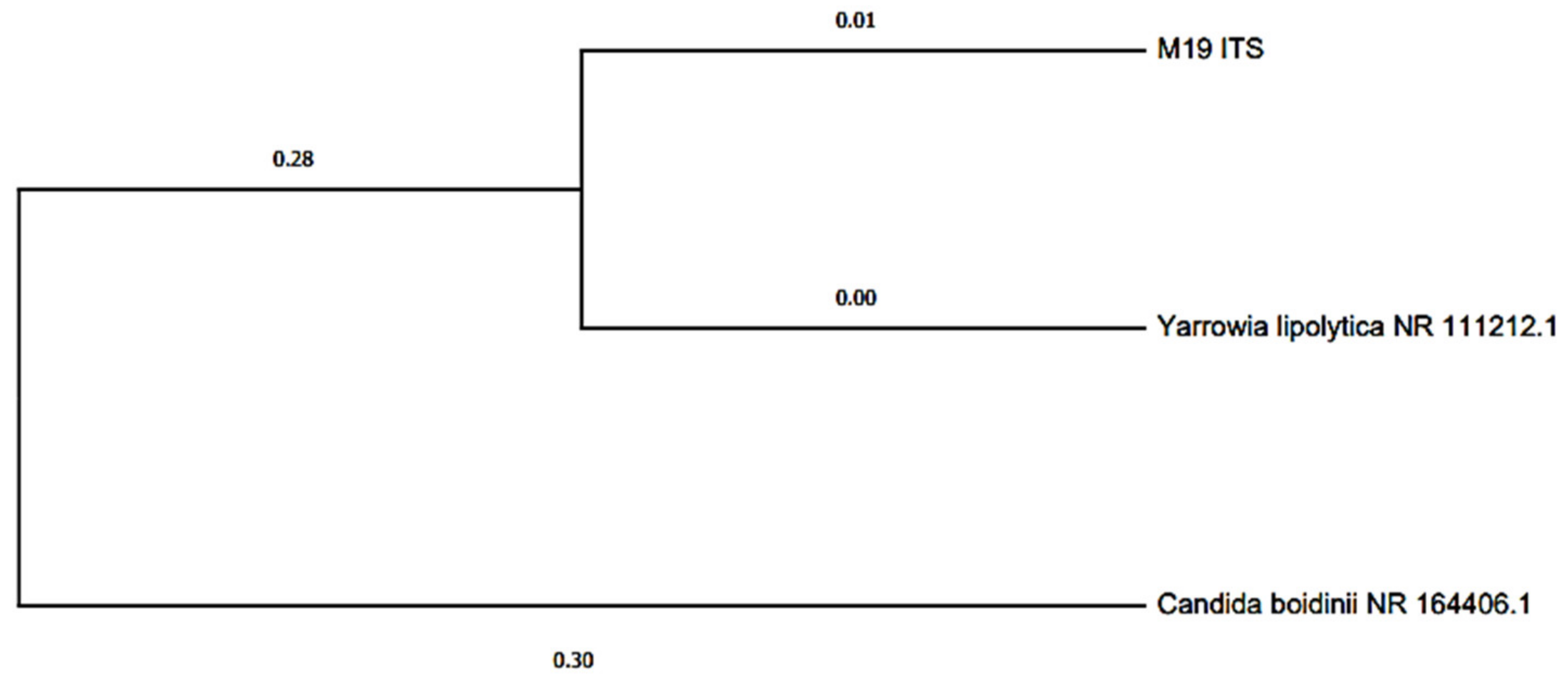 Molecules 27 00625 g007