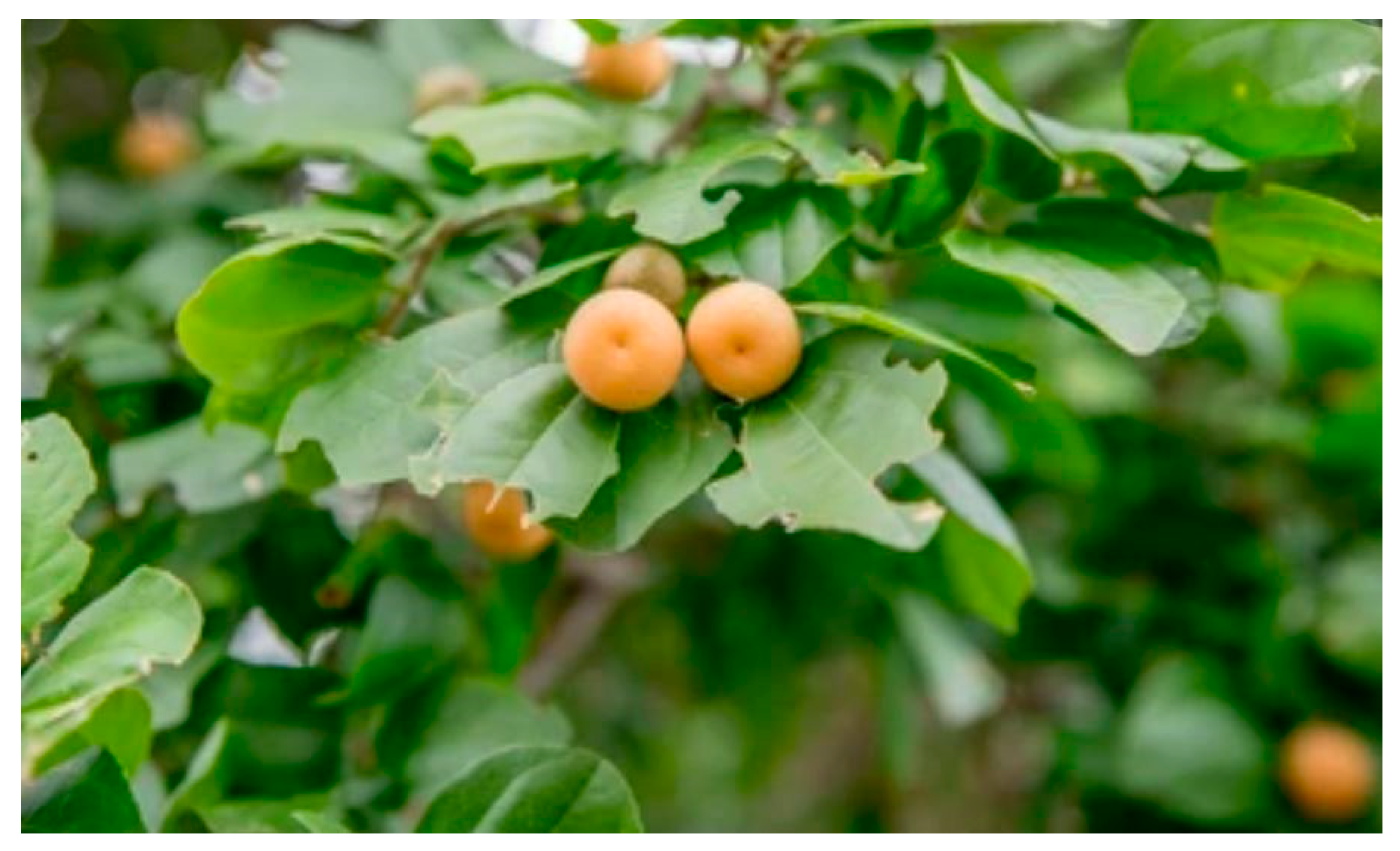 Molecules 27 00627 g001