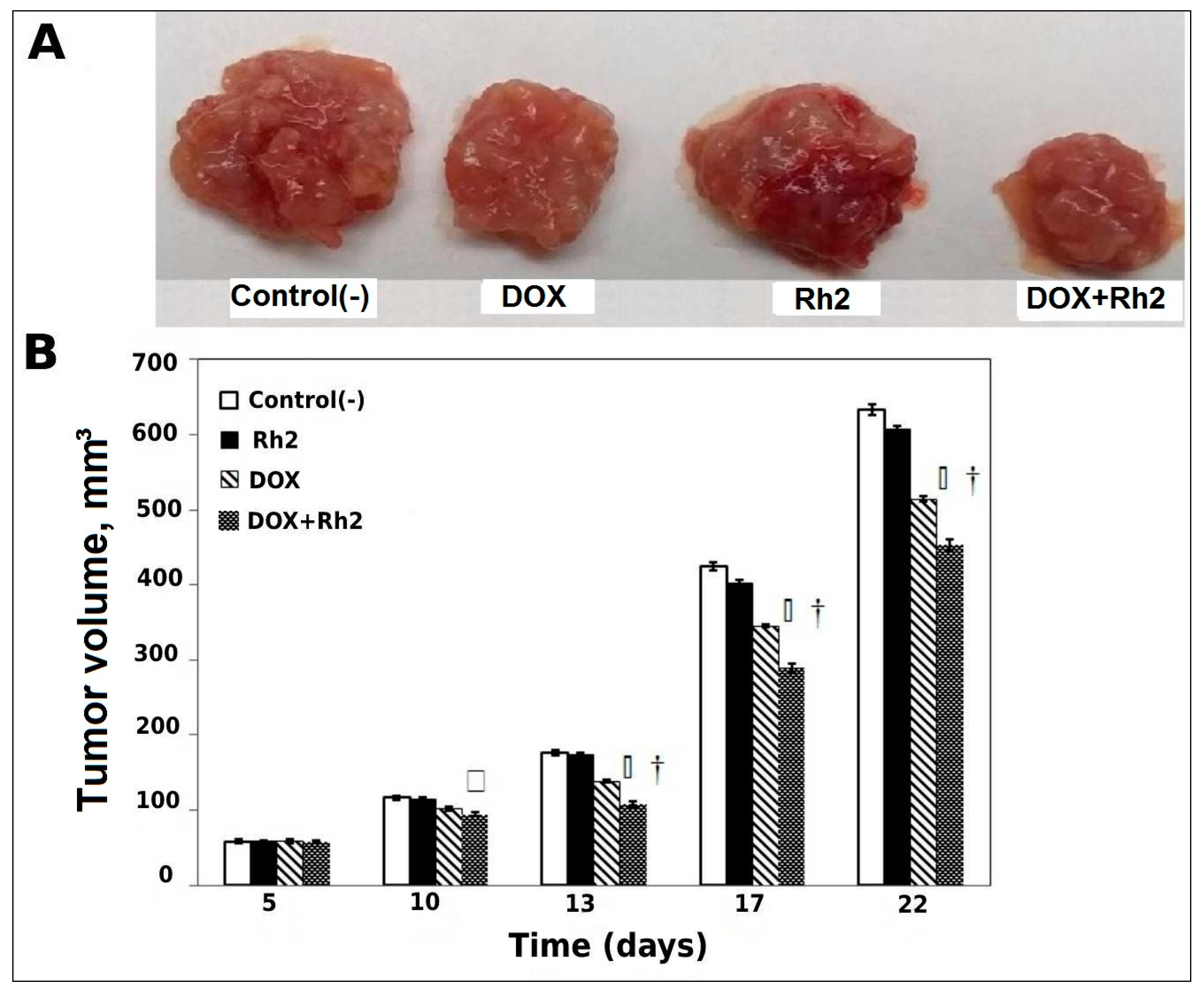 Molecules 27 00628 g001