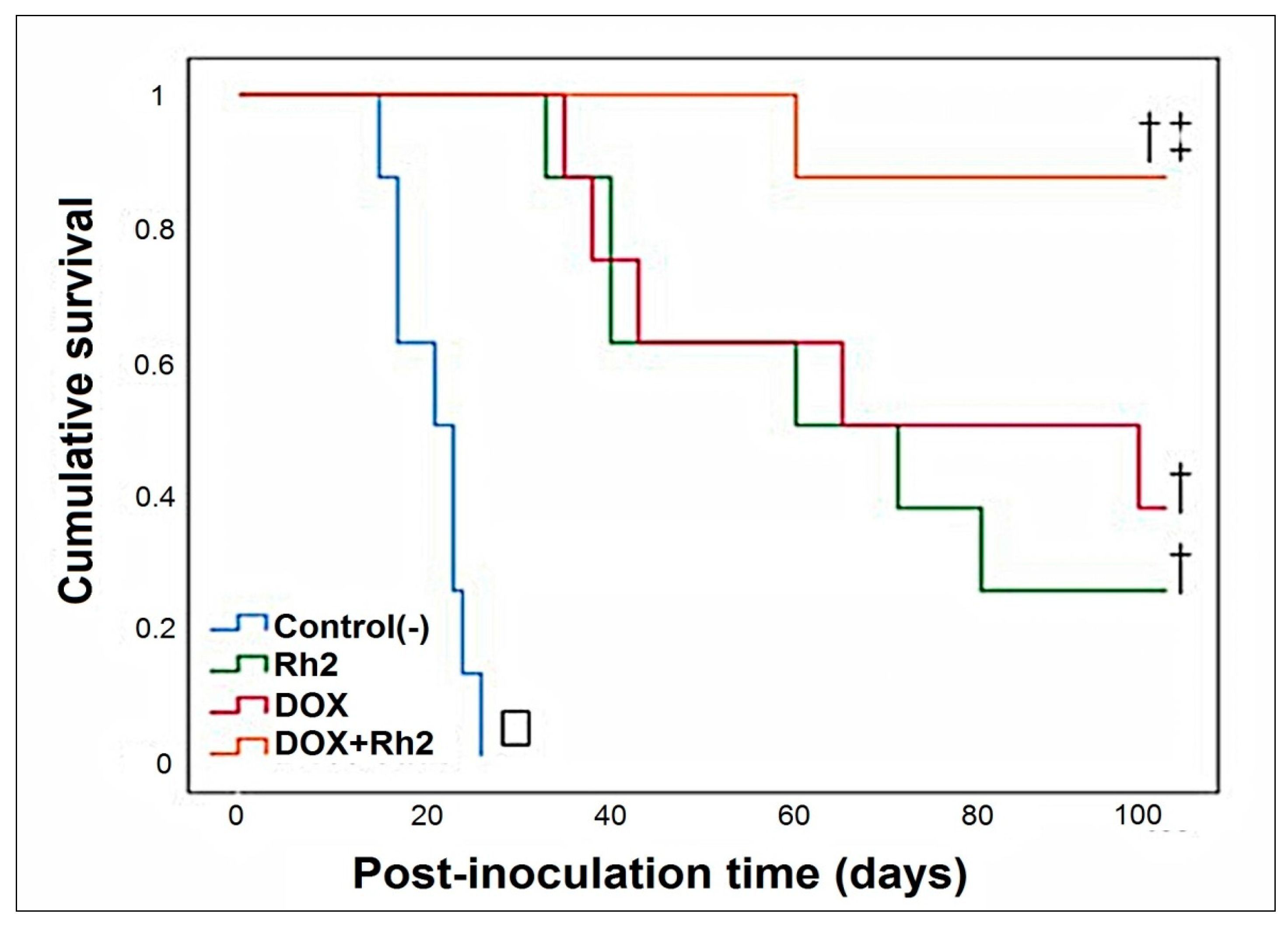 Molecules 27 00628 g004