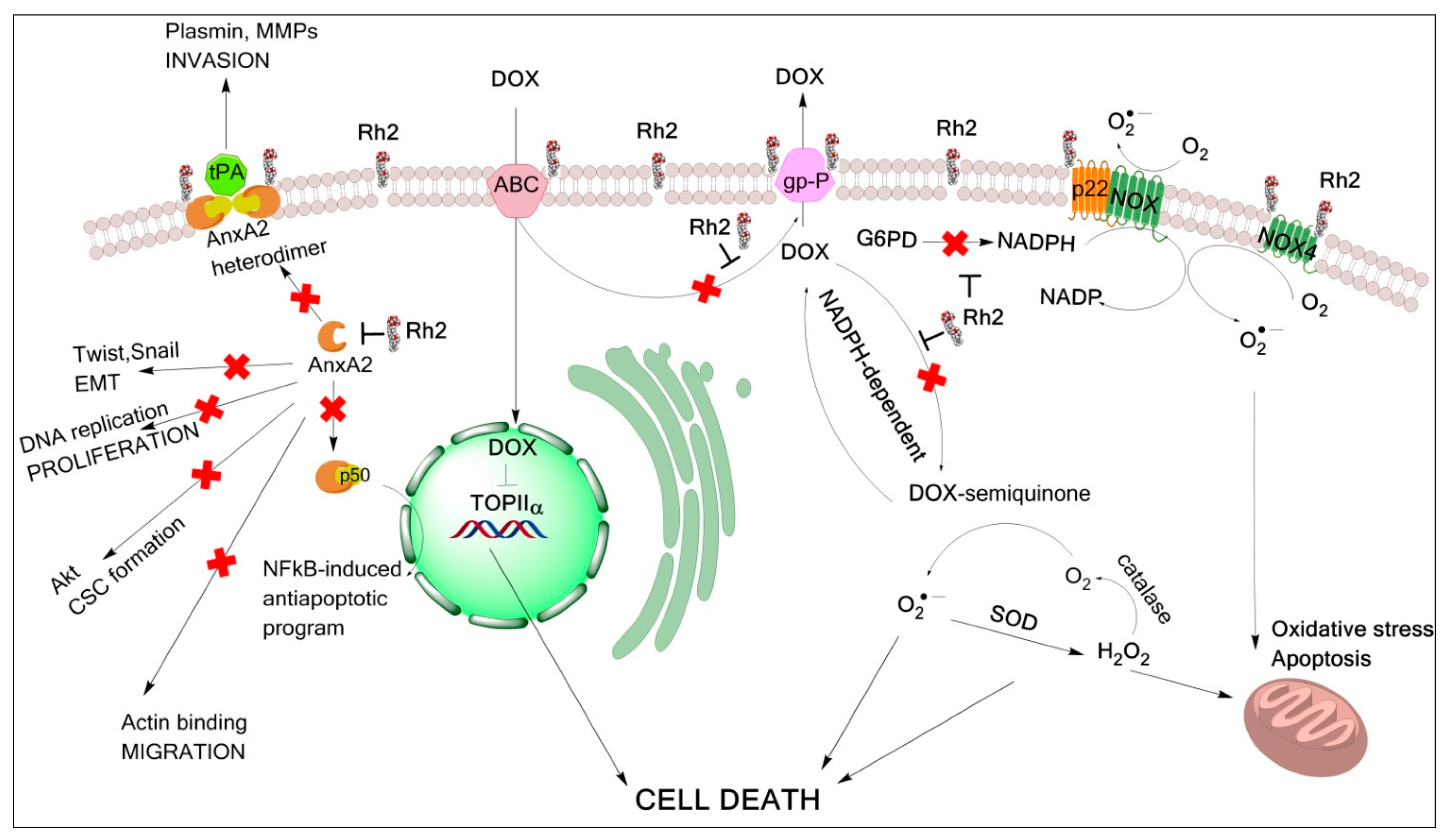 Molecules 27 00628 g010