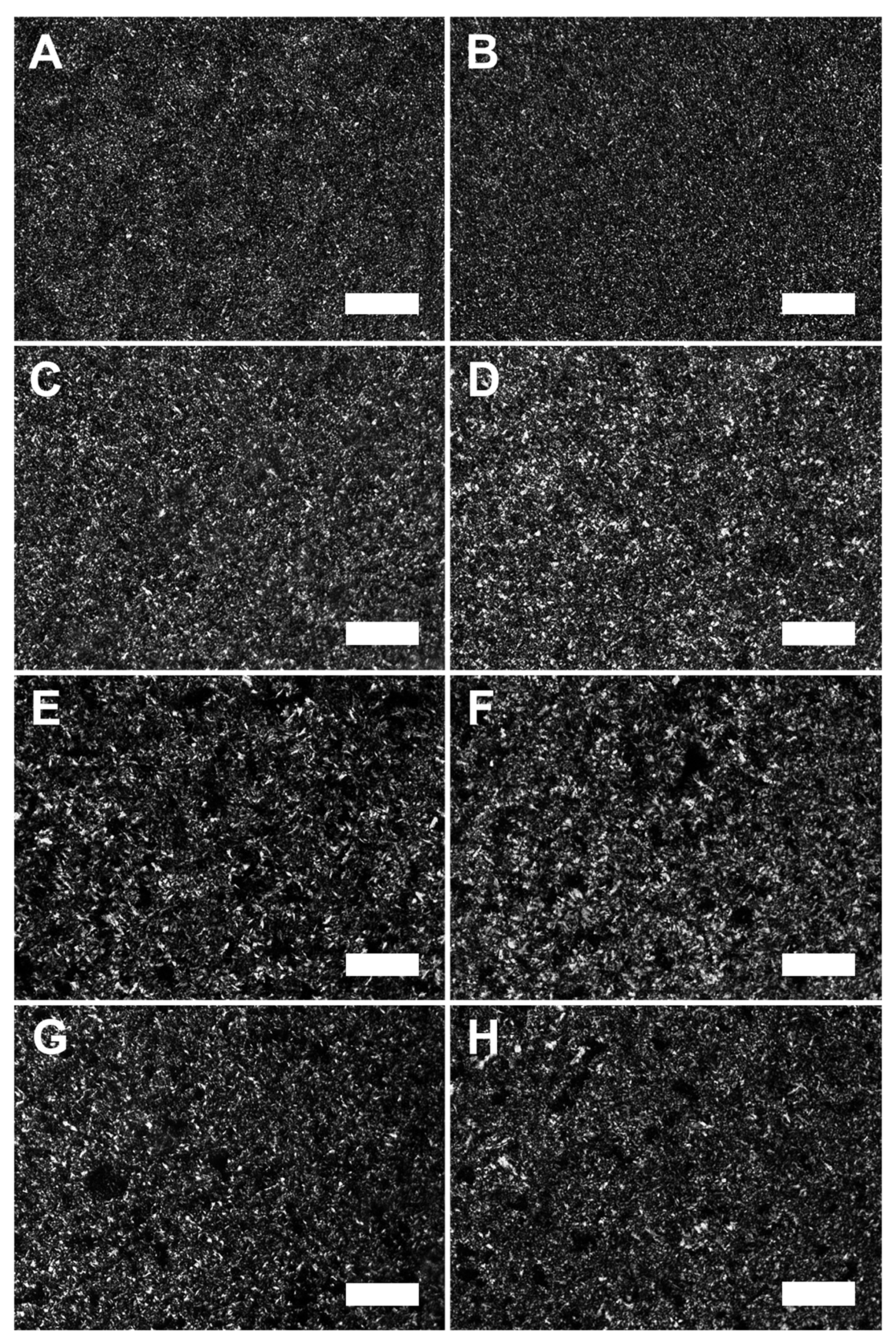 Molecules 27 00631 g001