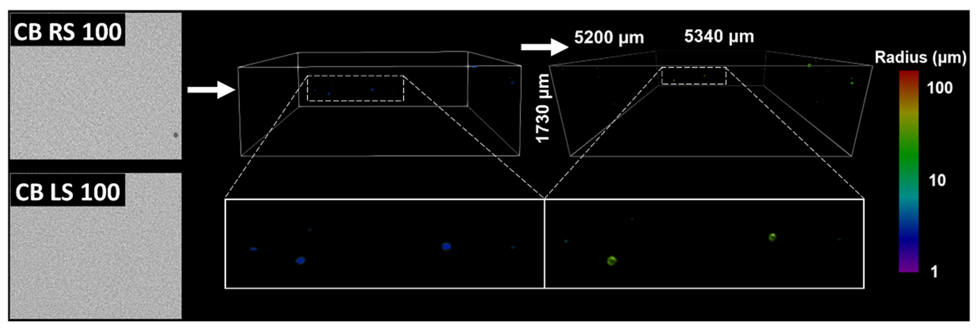 Molecules 27 00631 g003