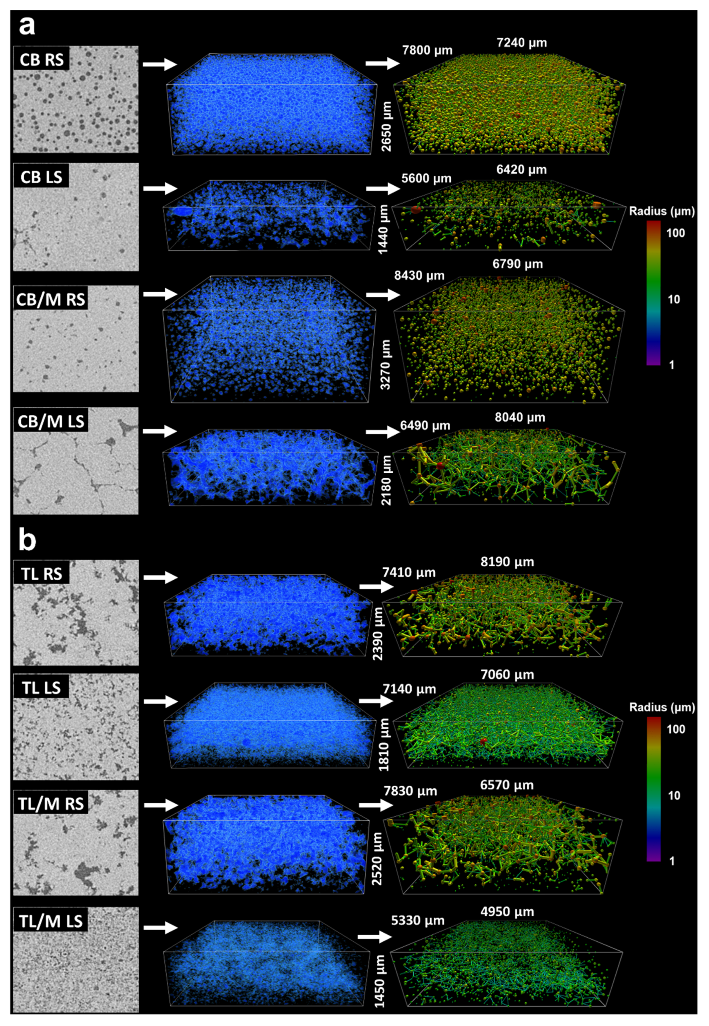 Molecules 27 00631 g004