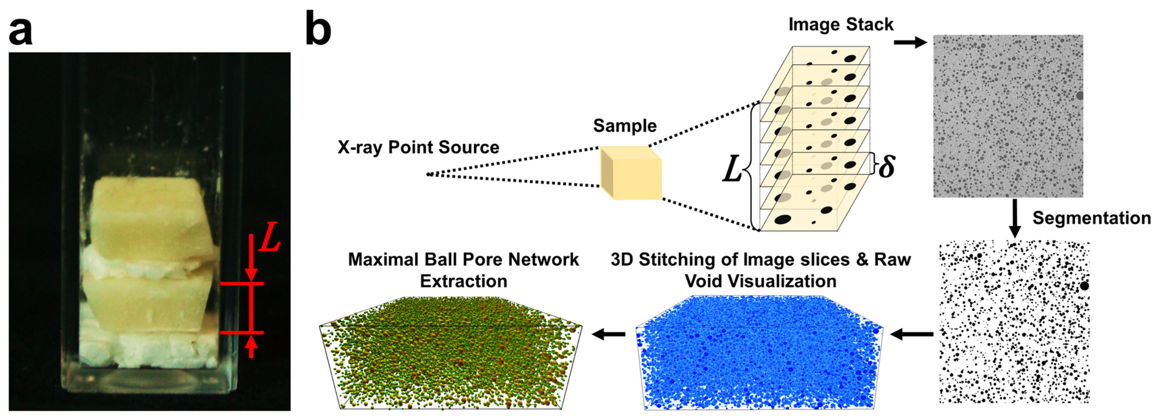 Molecules 27 00631 g007