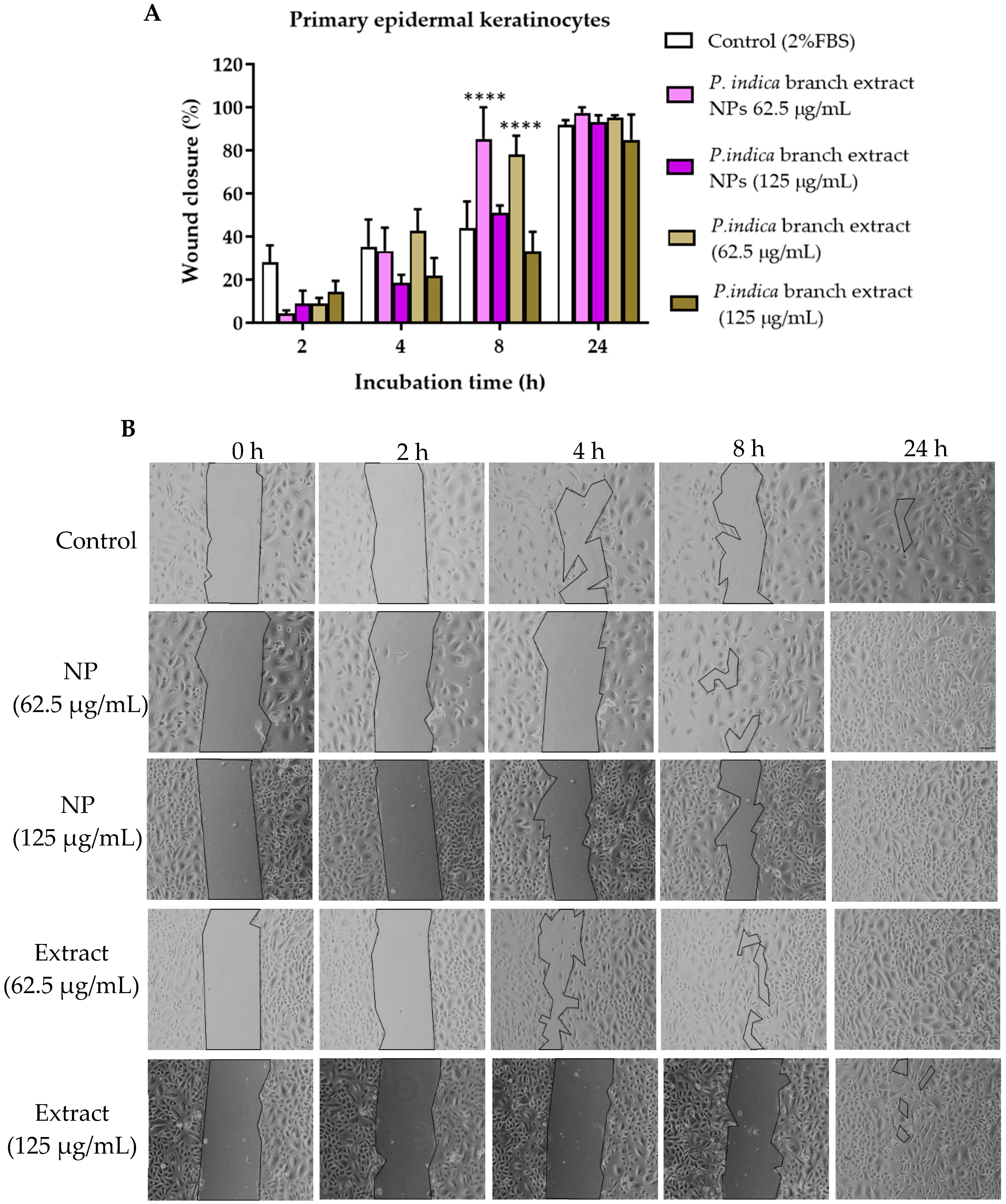 Molecules 27 00635 g007