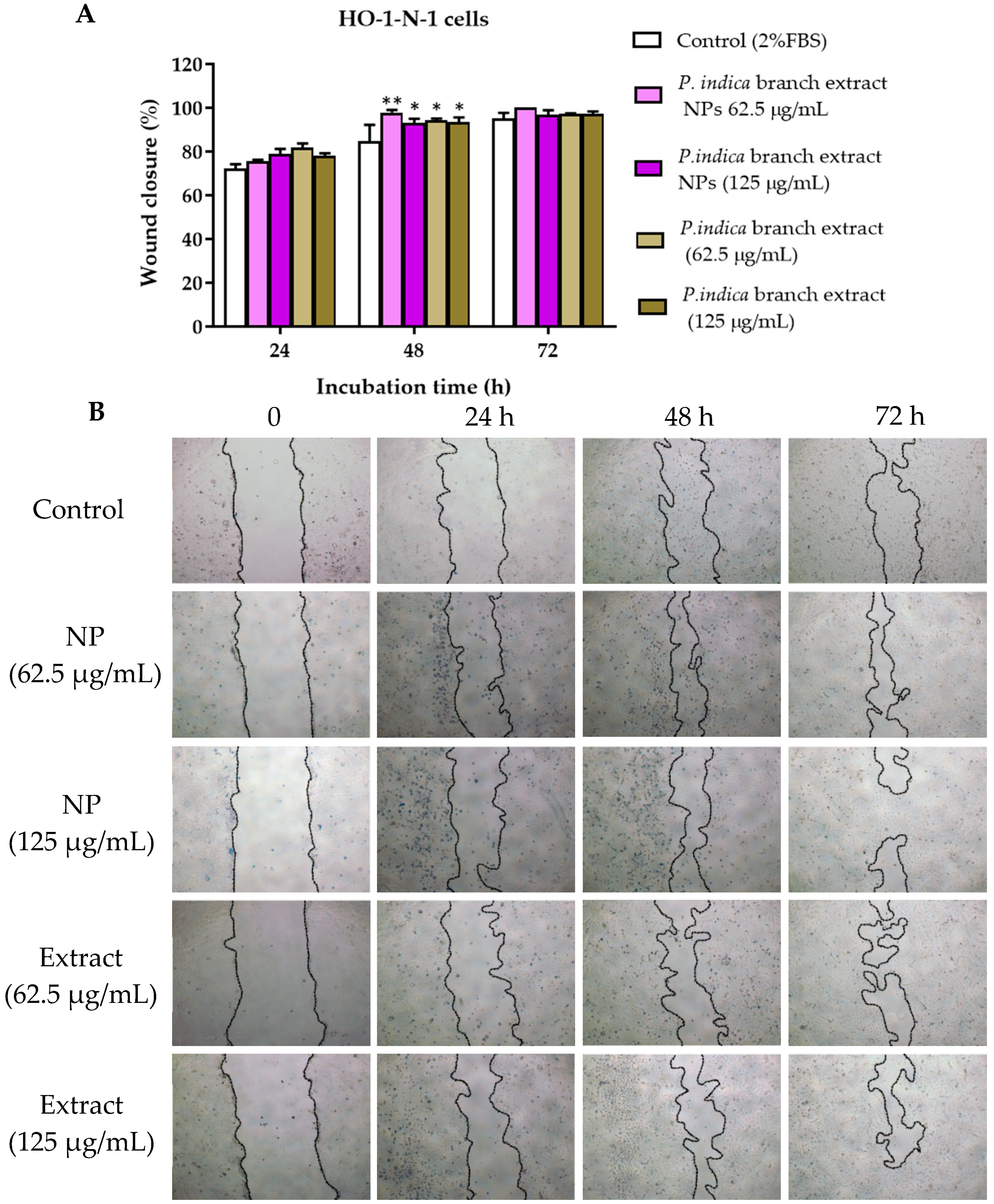 Molecules 27 00635 g009