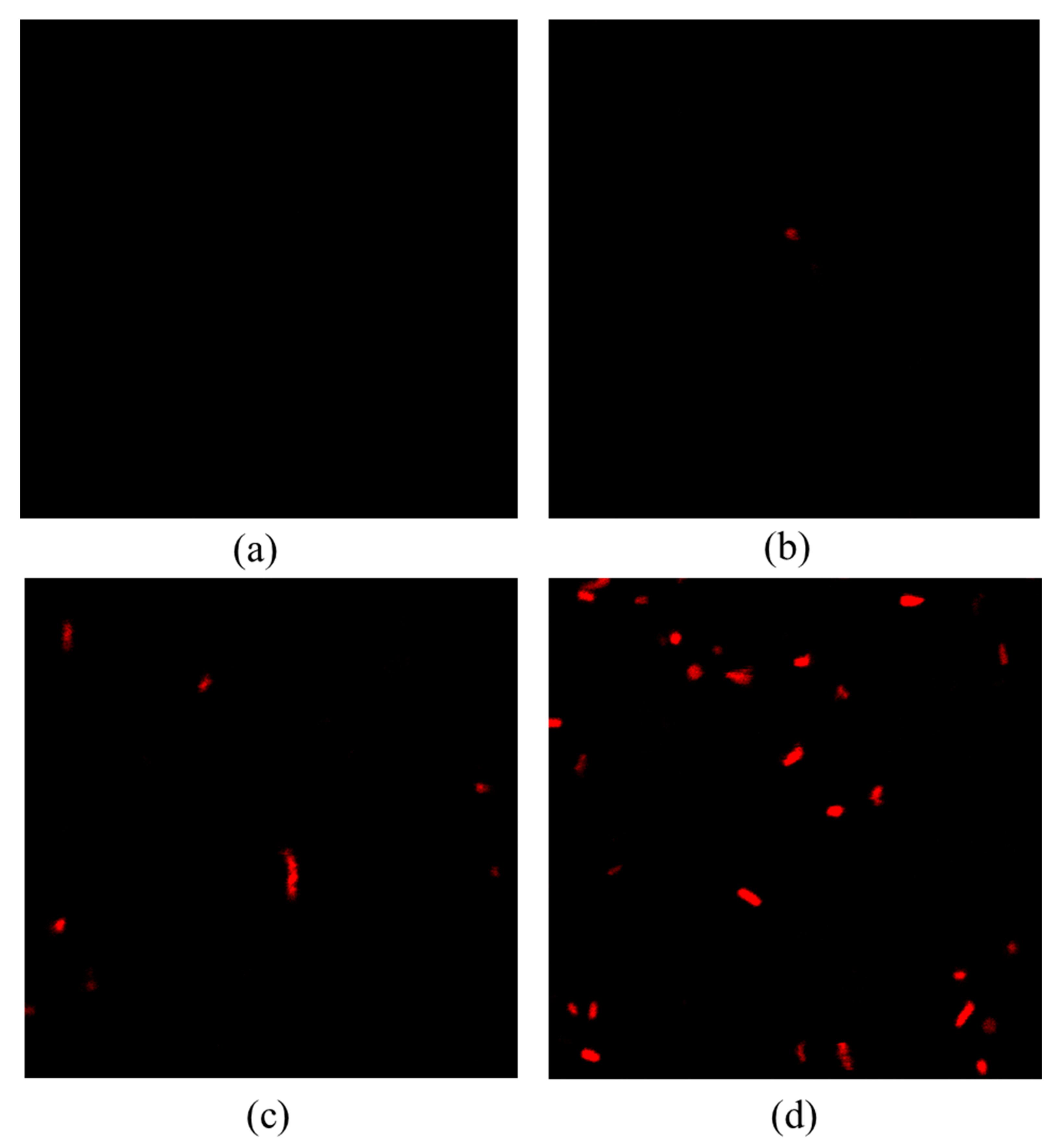 Molecules 27 00640 g005