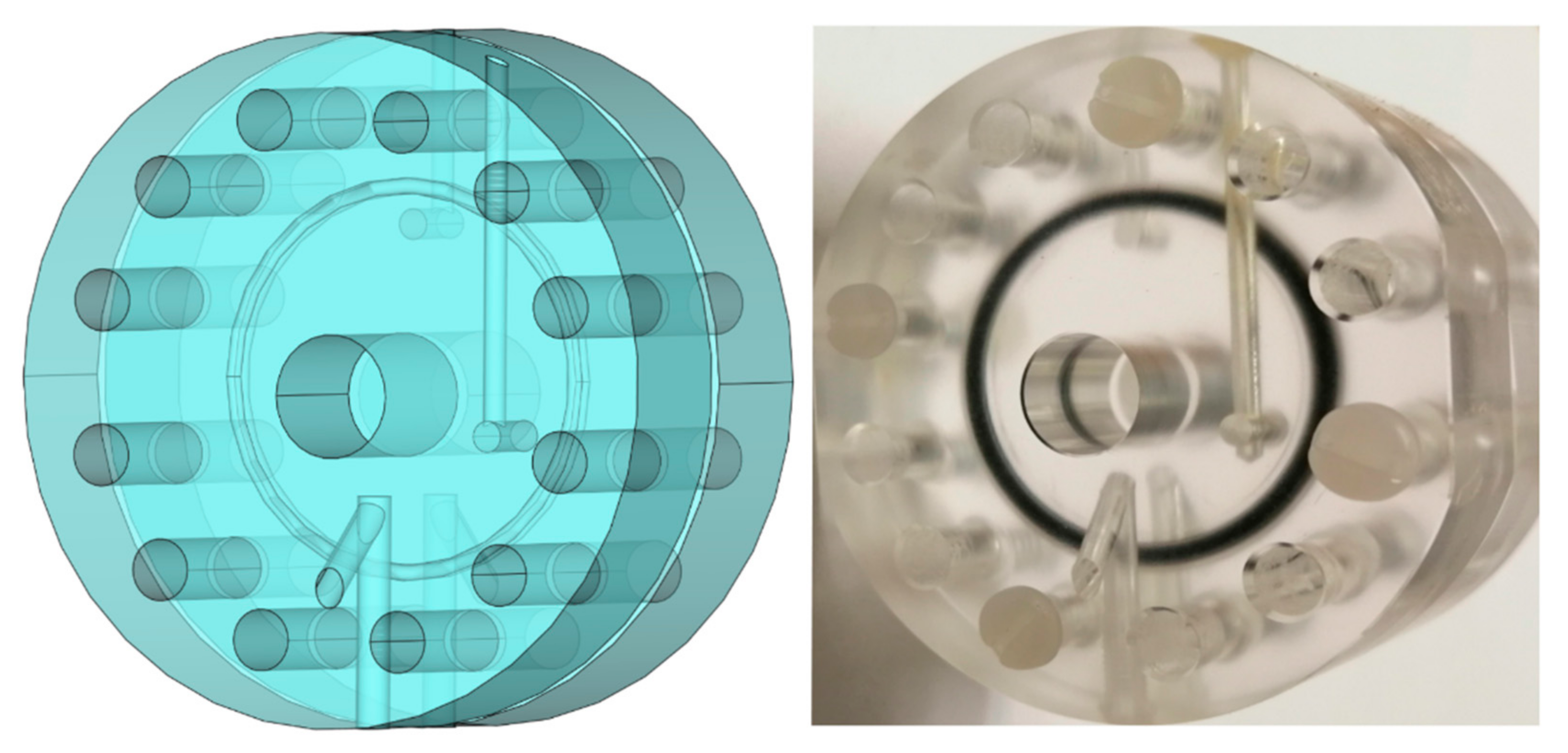 Molecules 27 00642 g007